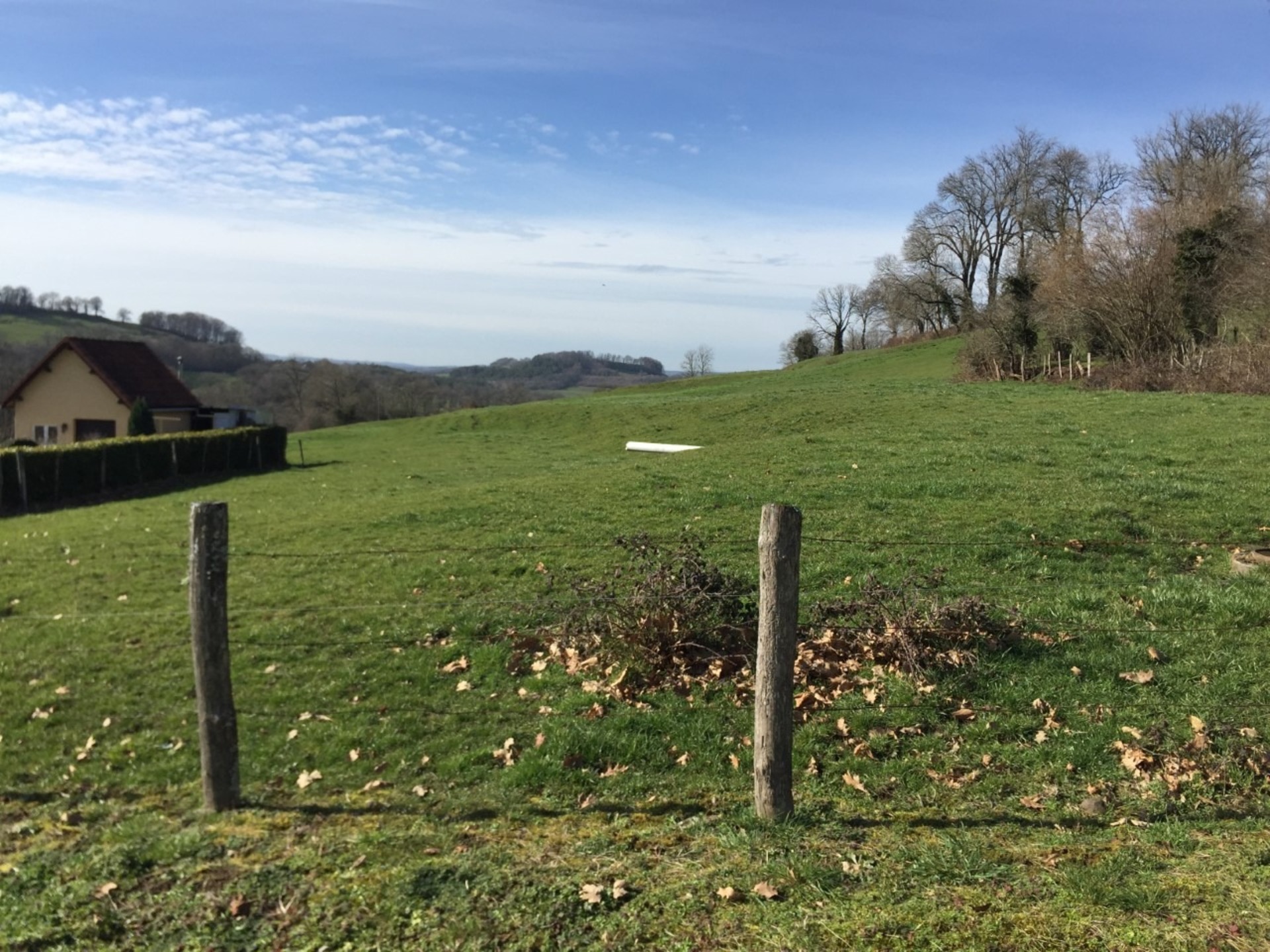 Terrain