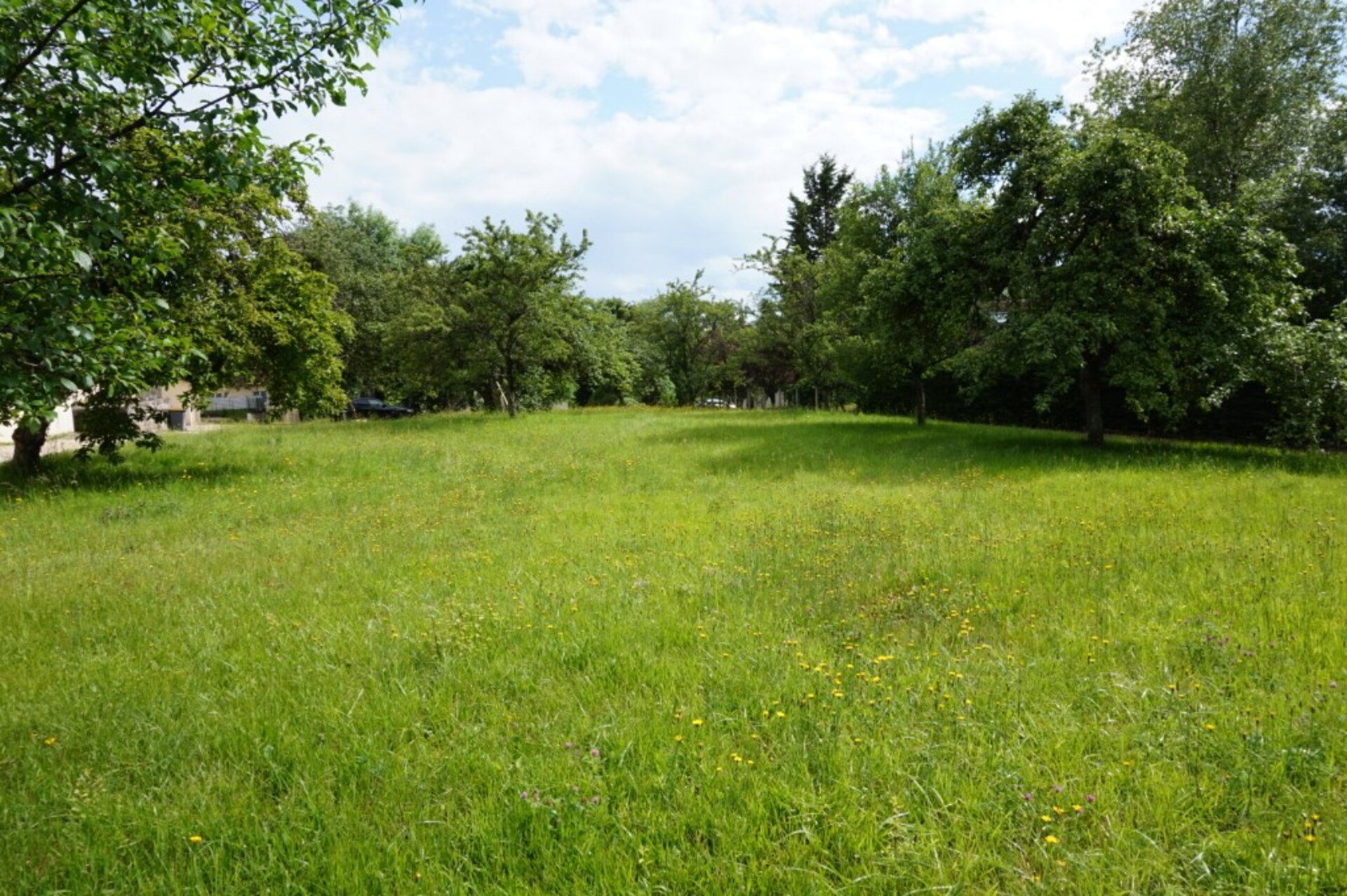 Terrain