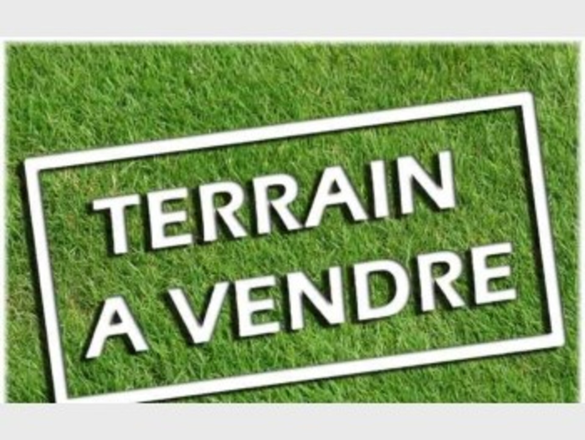 Terrain