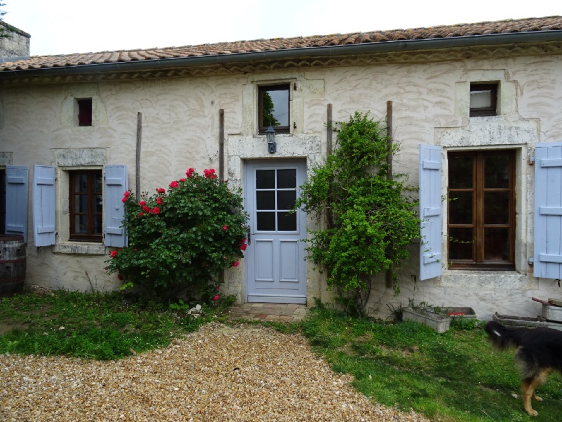 Maison