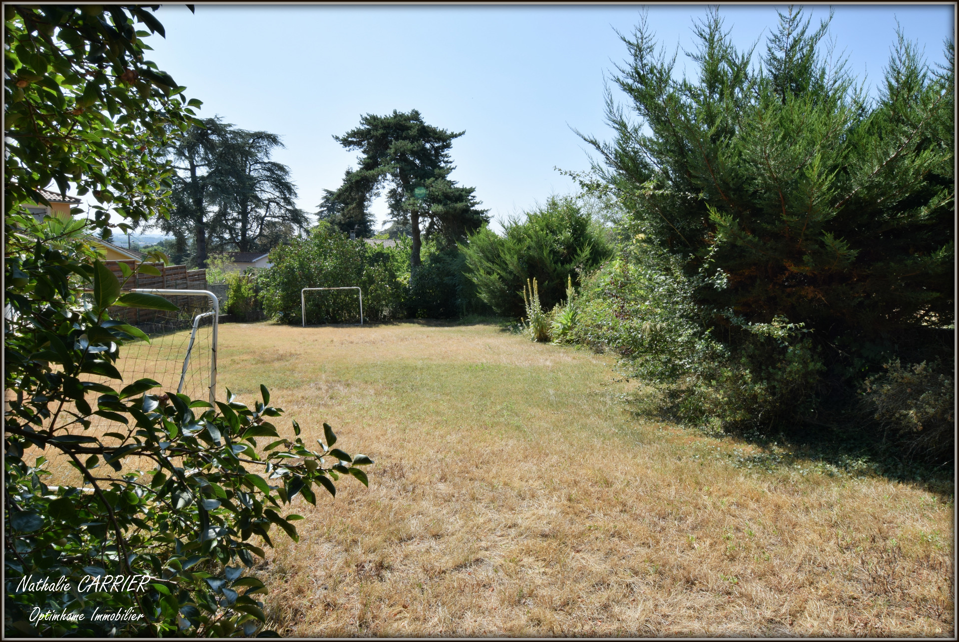Terrain