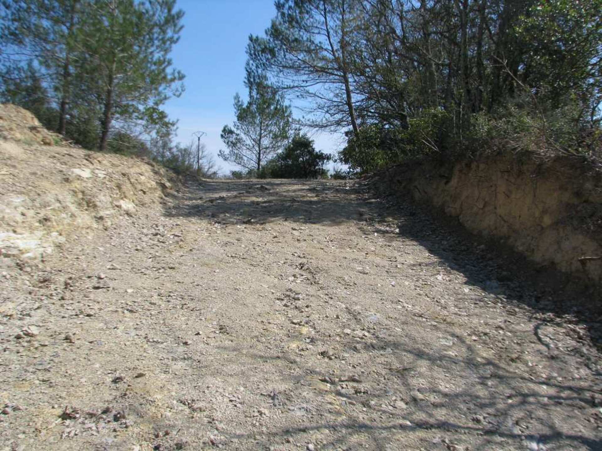 Terrain