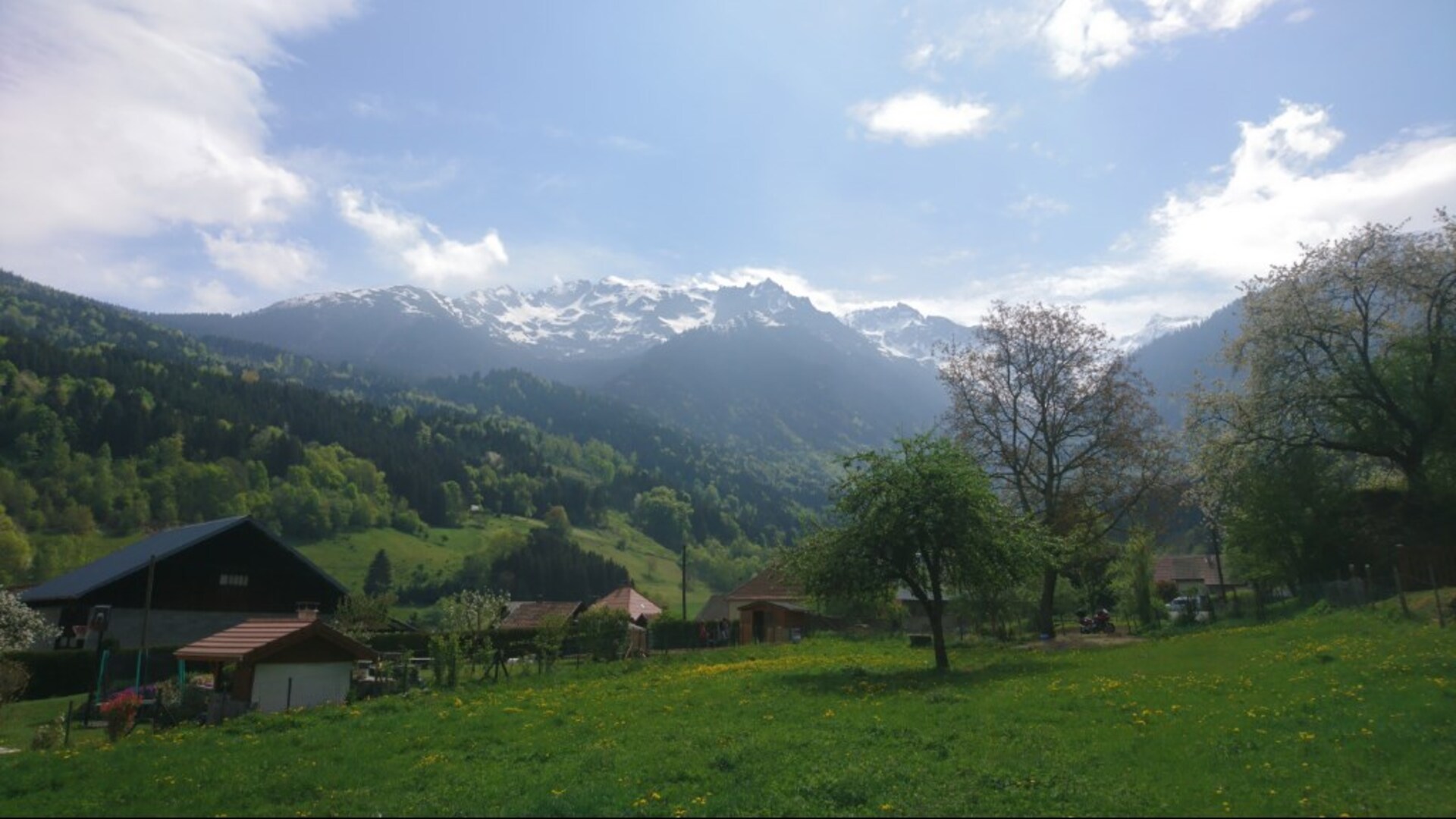 Terrain