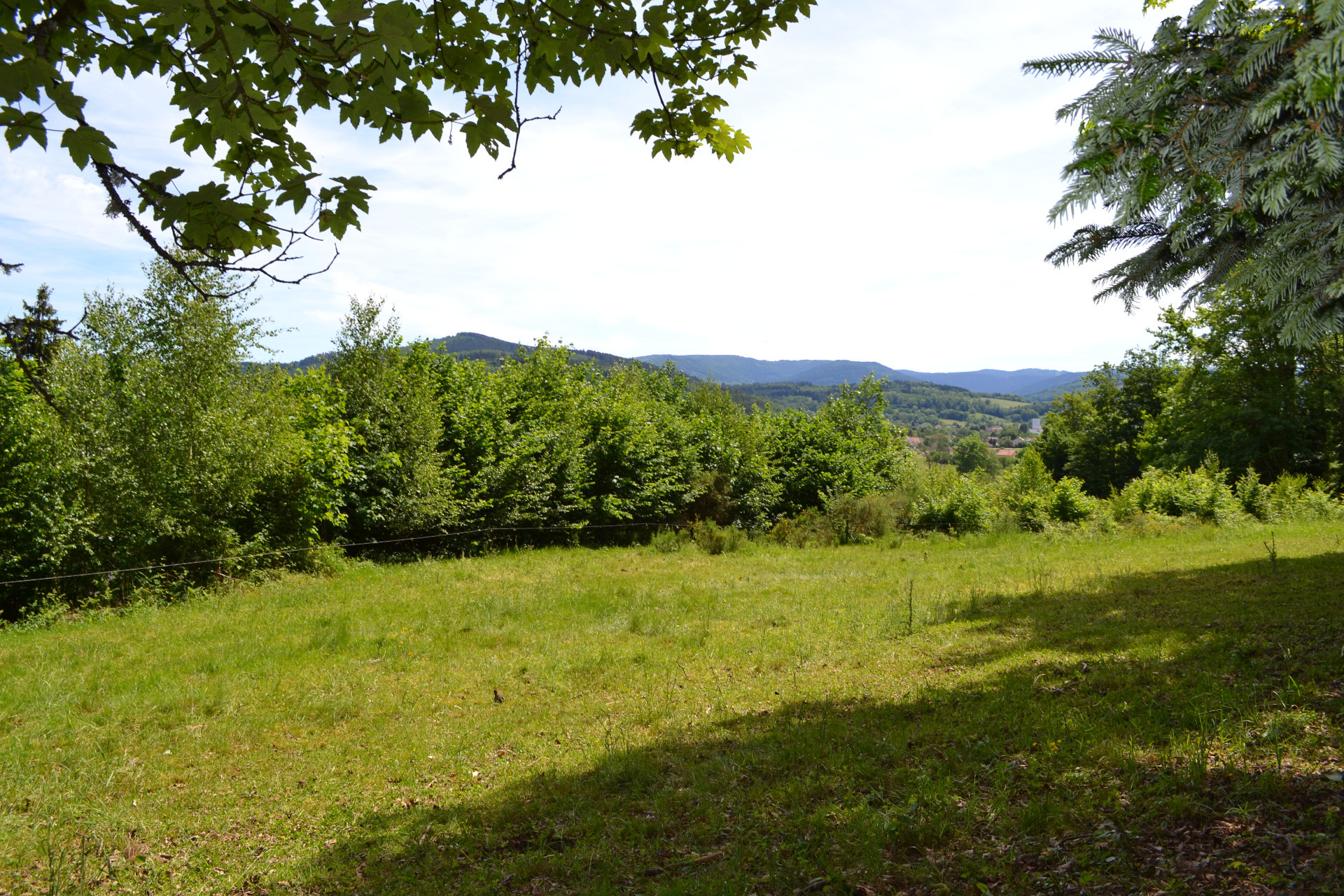 Terrain