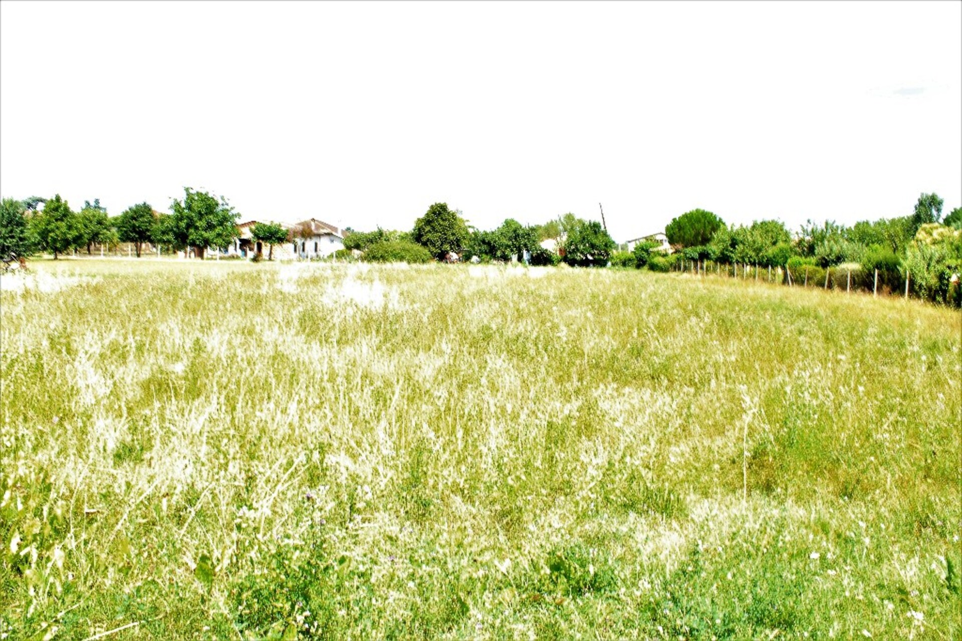 Terrain