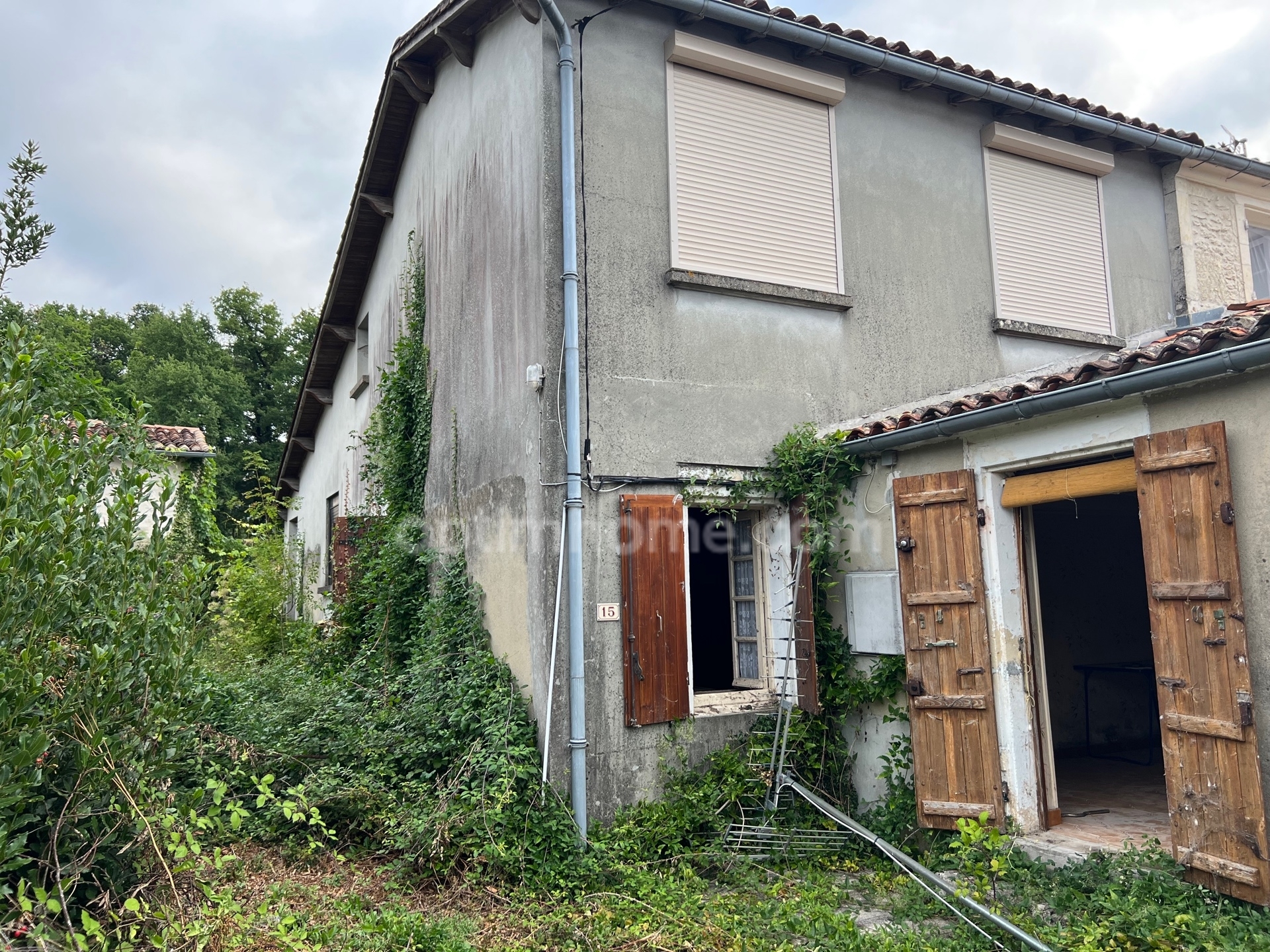 Maison