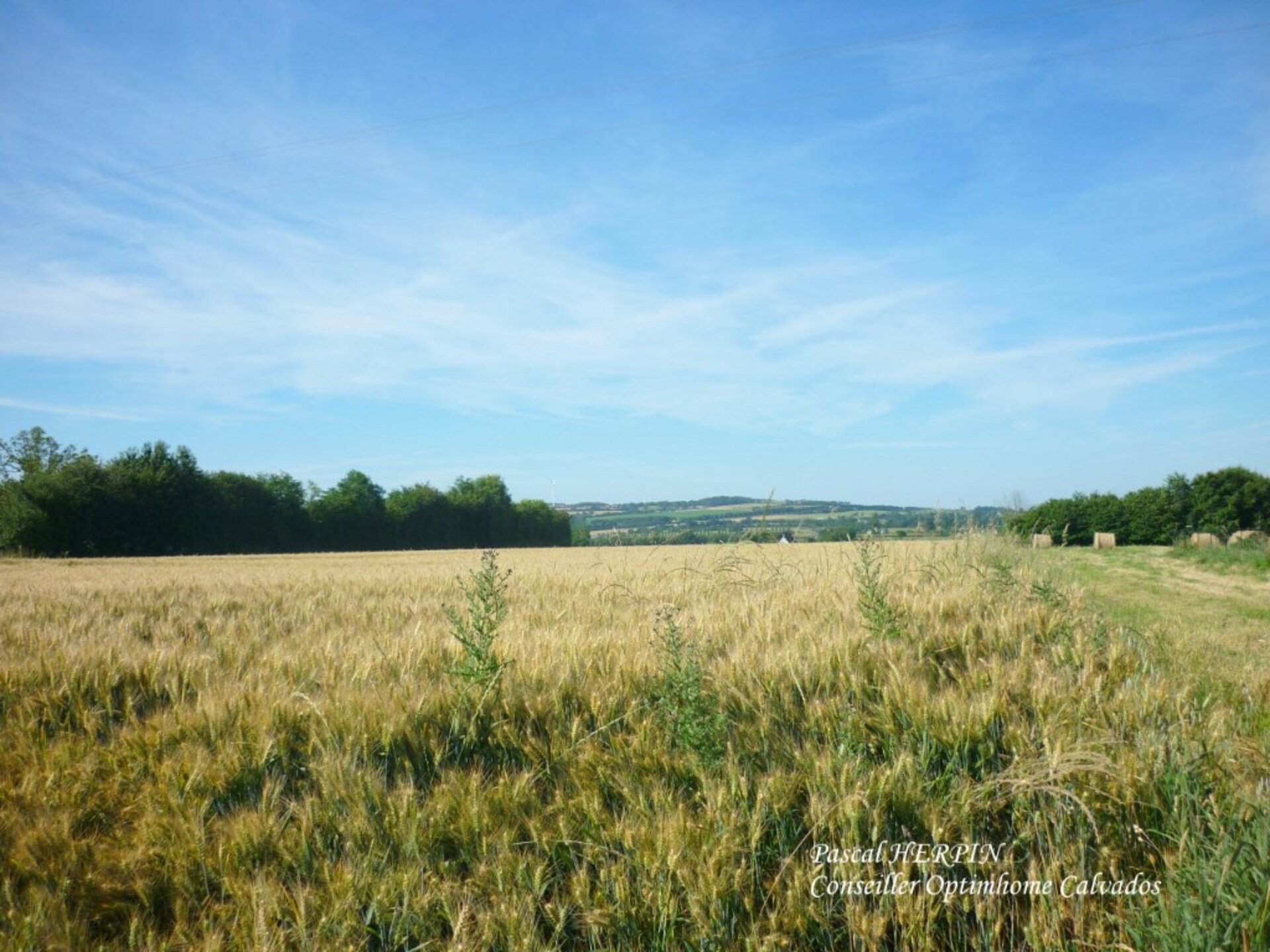Terrain