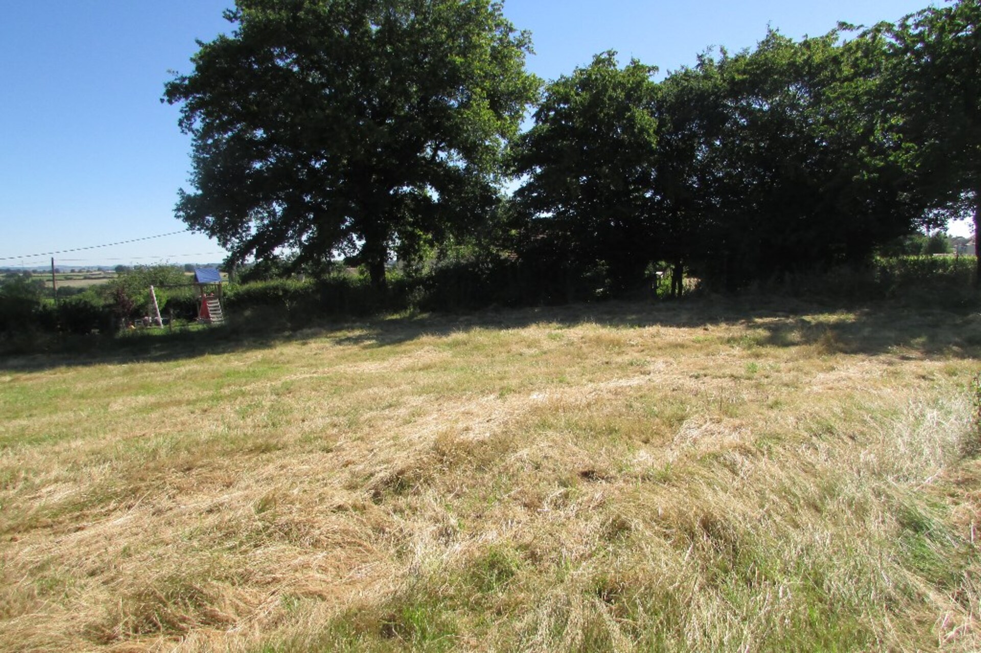Terrain