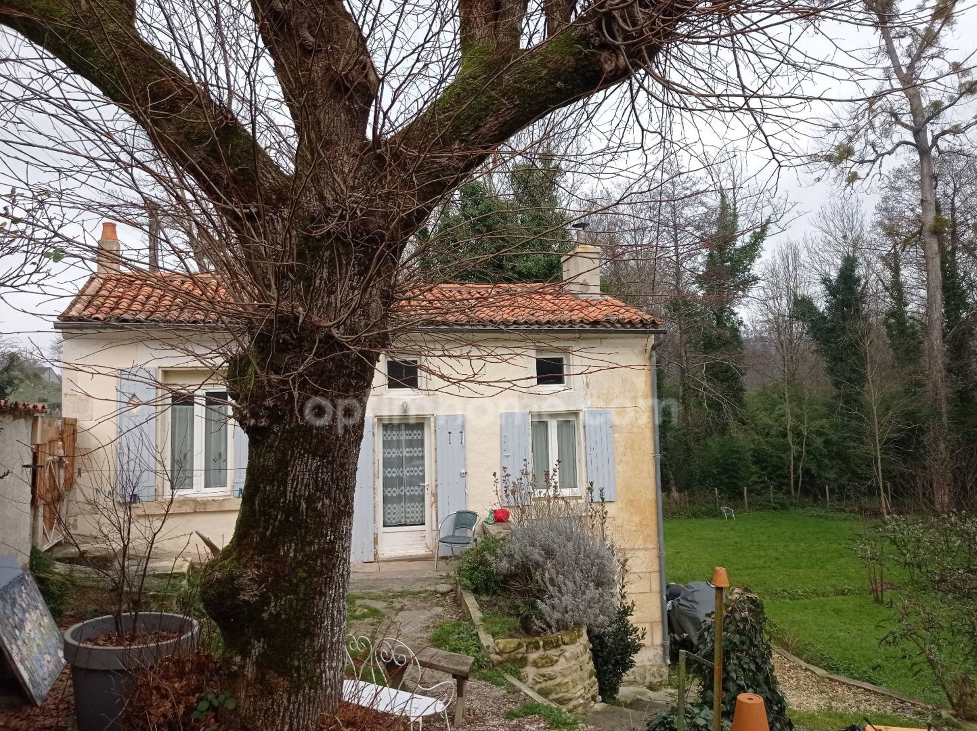 Maison