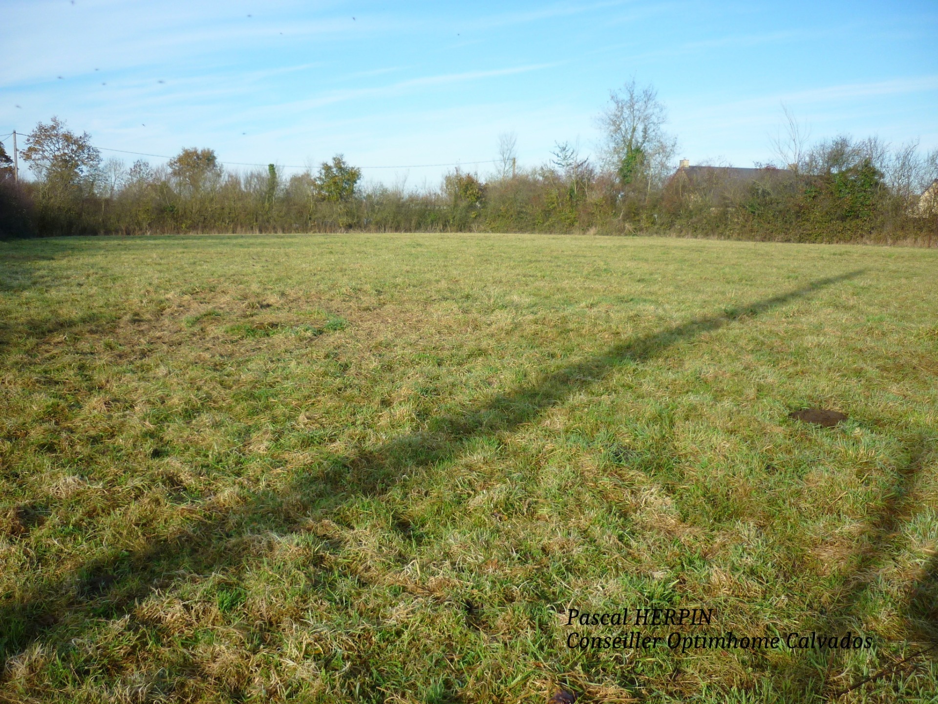 Terrain