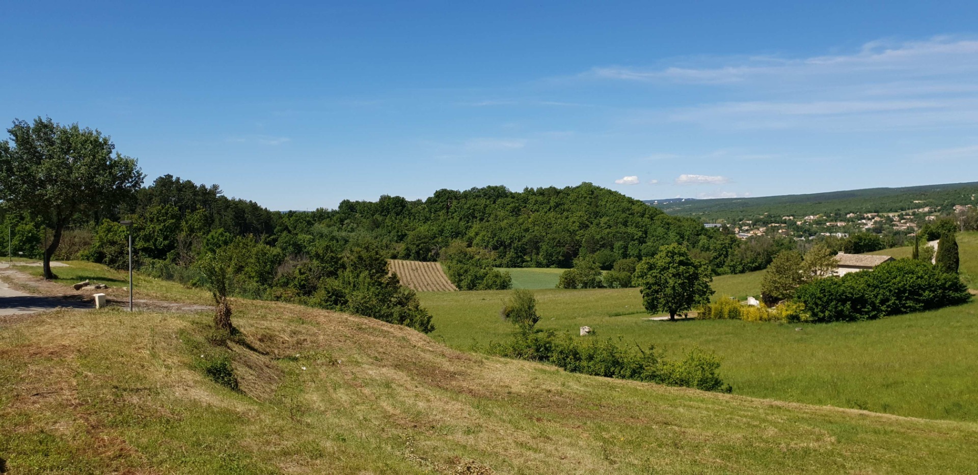Terrain