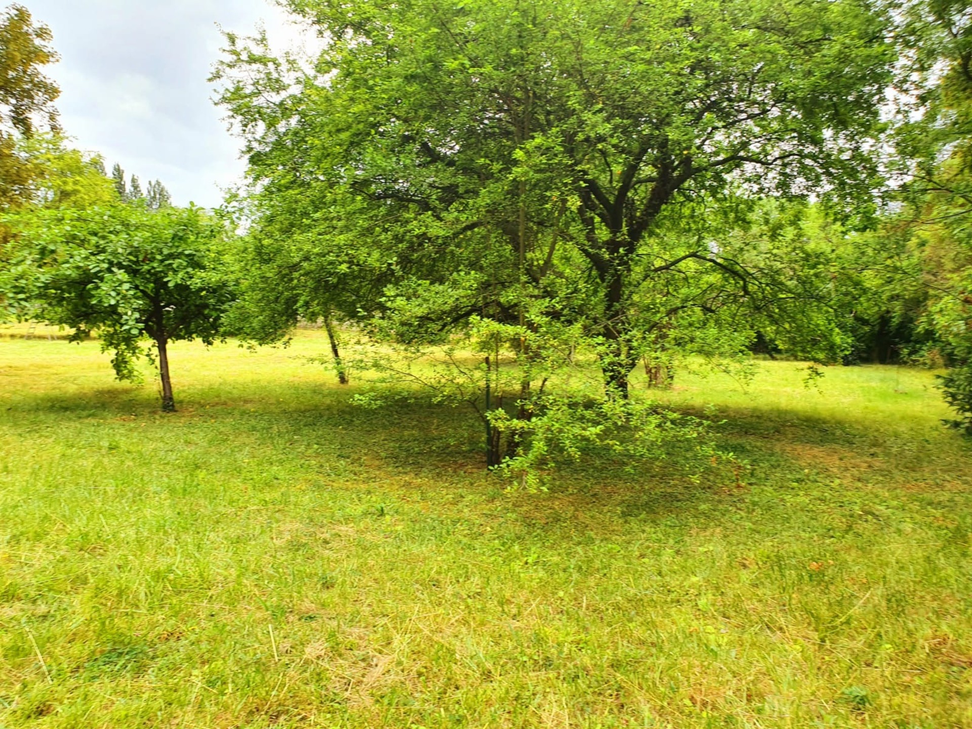 Terrain