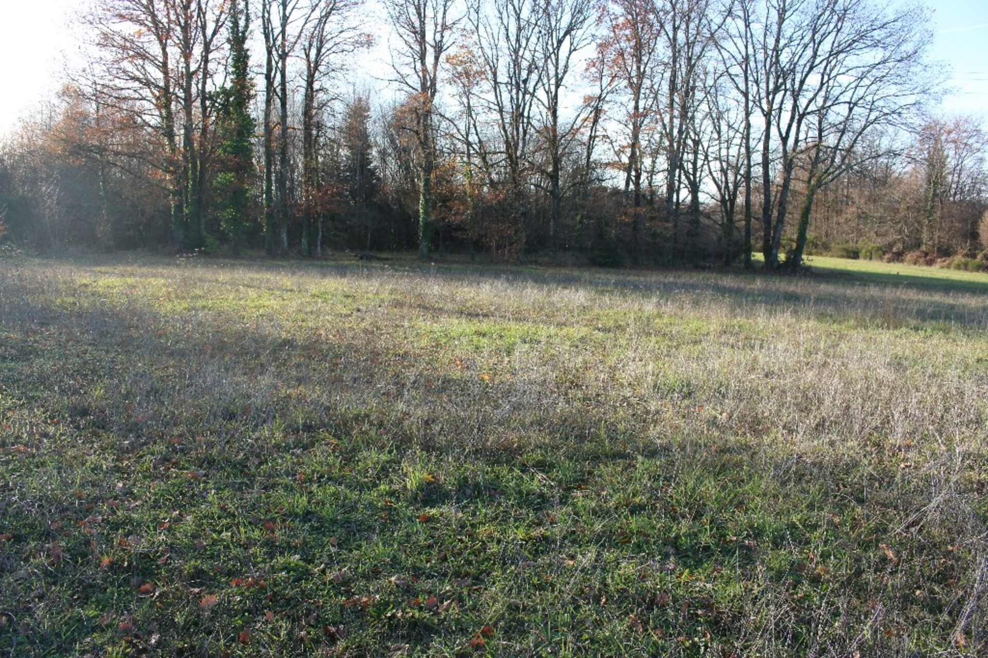 Land