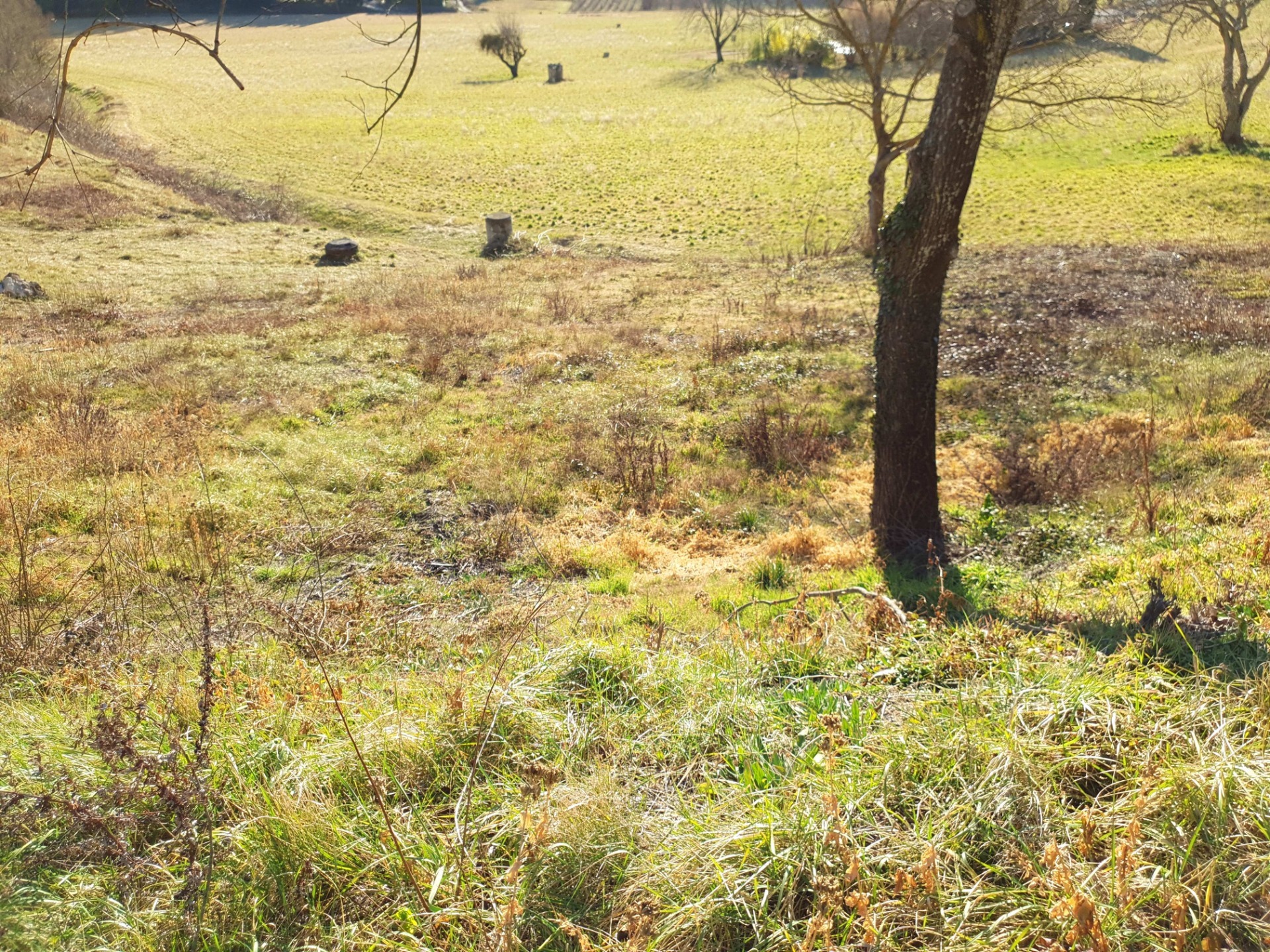 Terrain