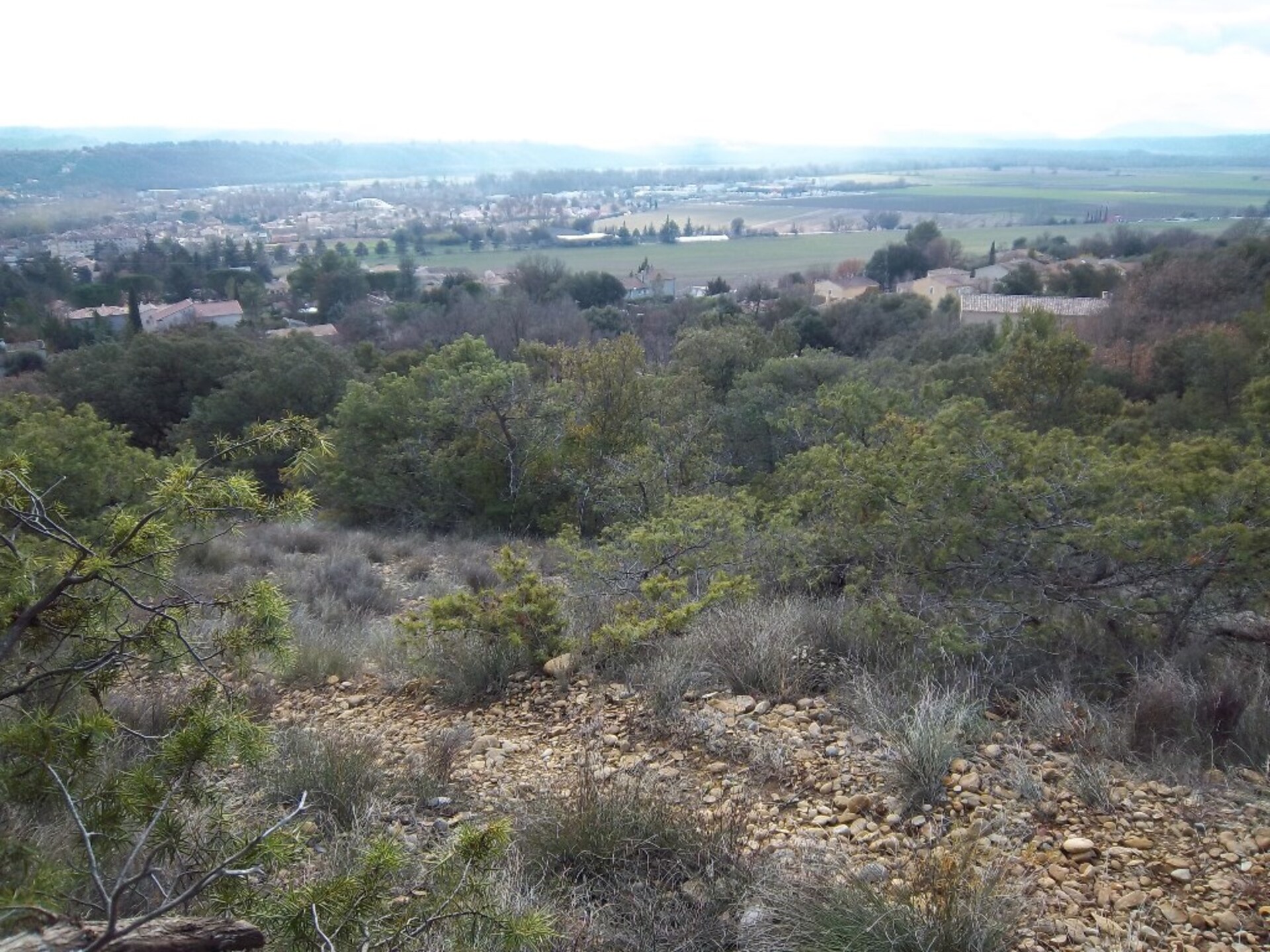 Land
