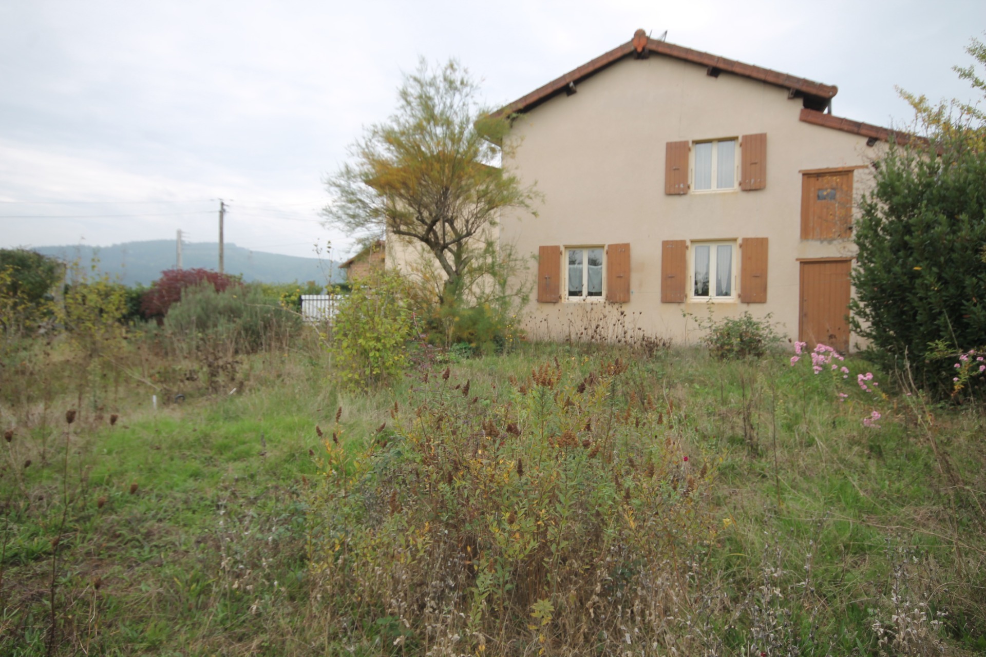Maison