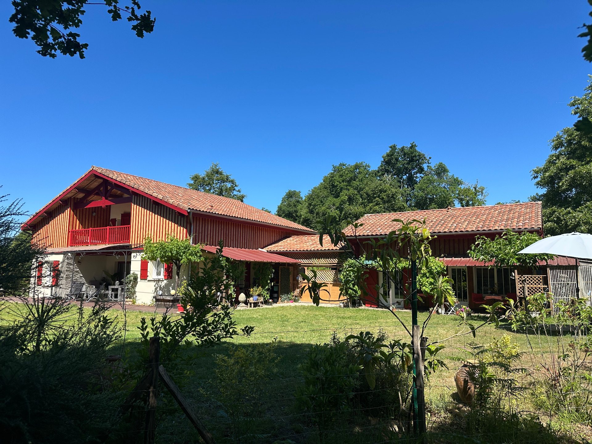 Maison
