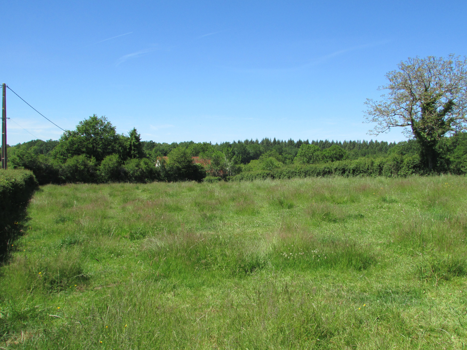 Terrain