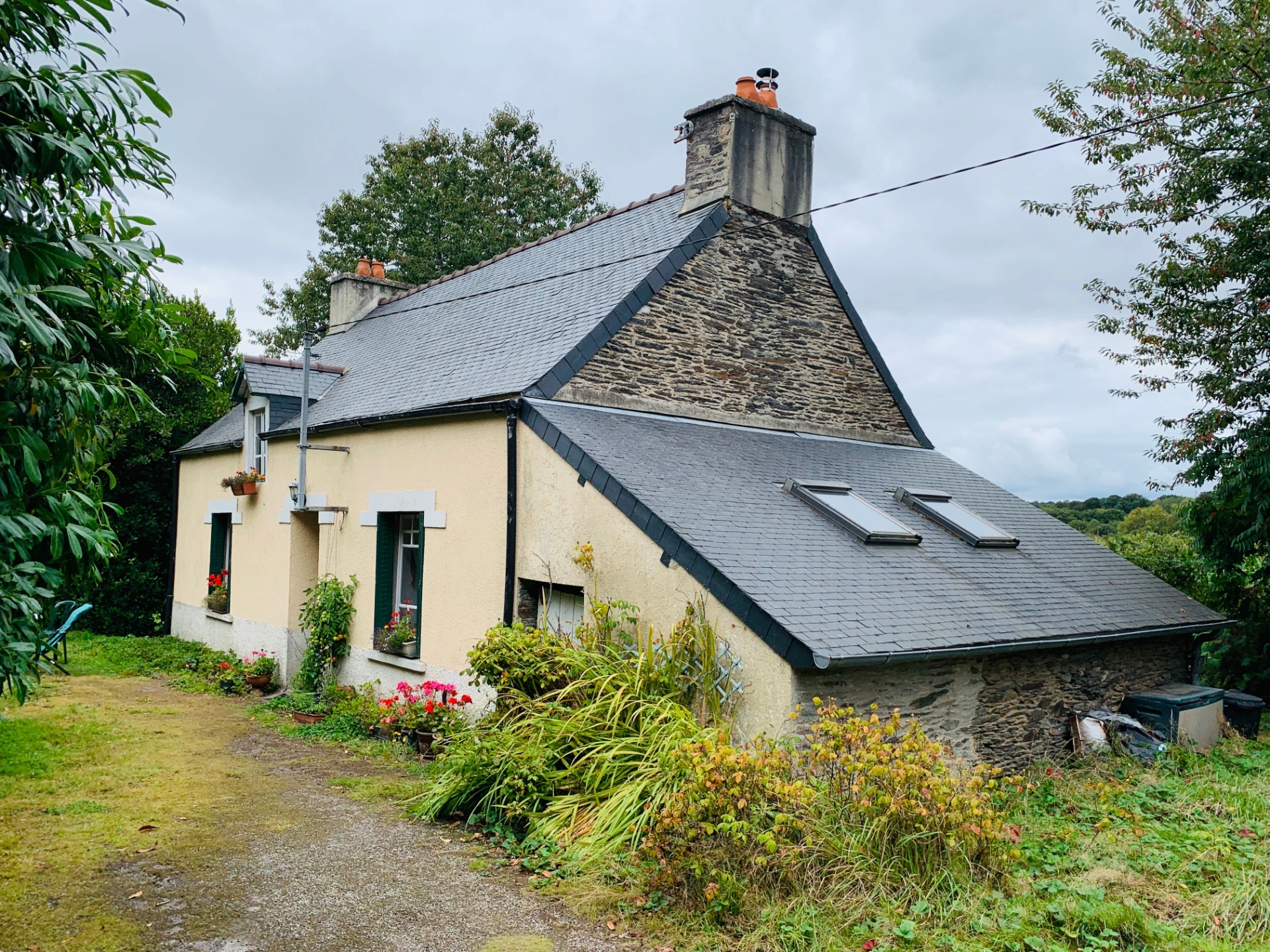 Maison