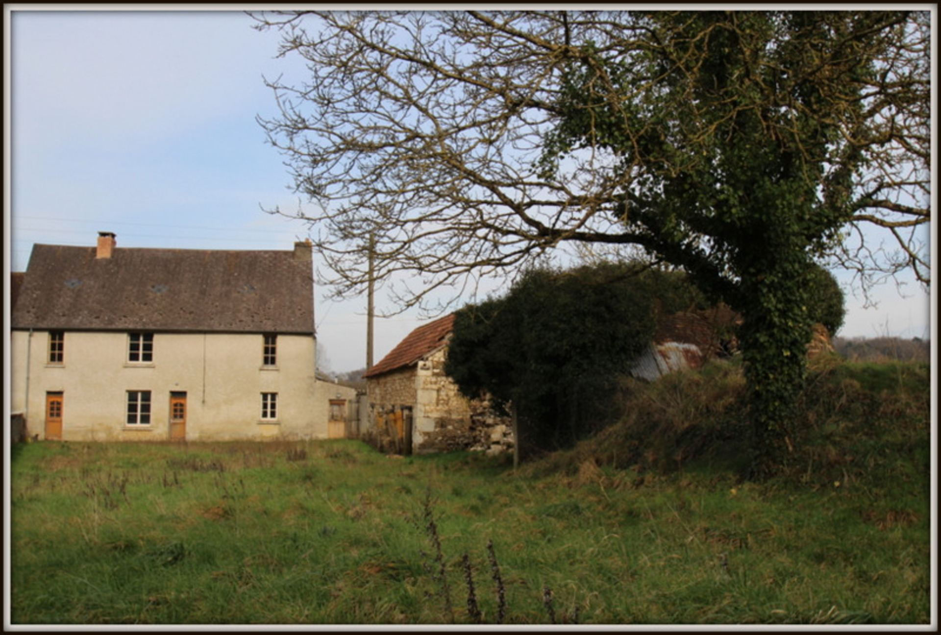 Maison