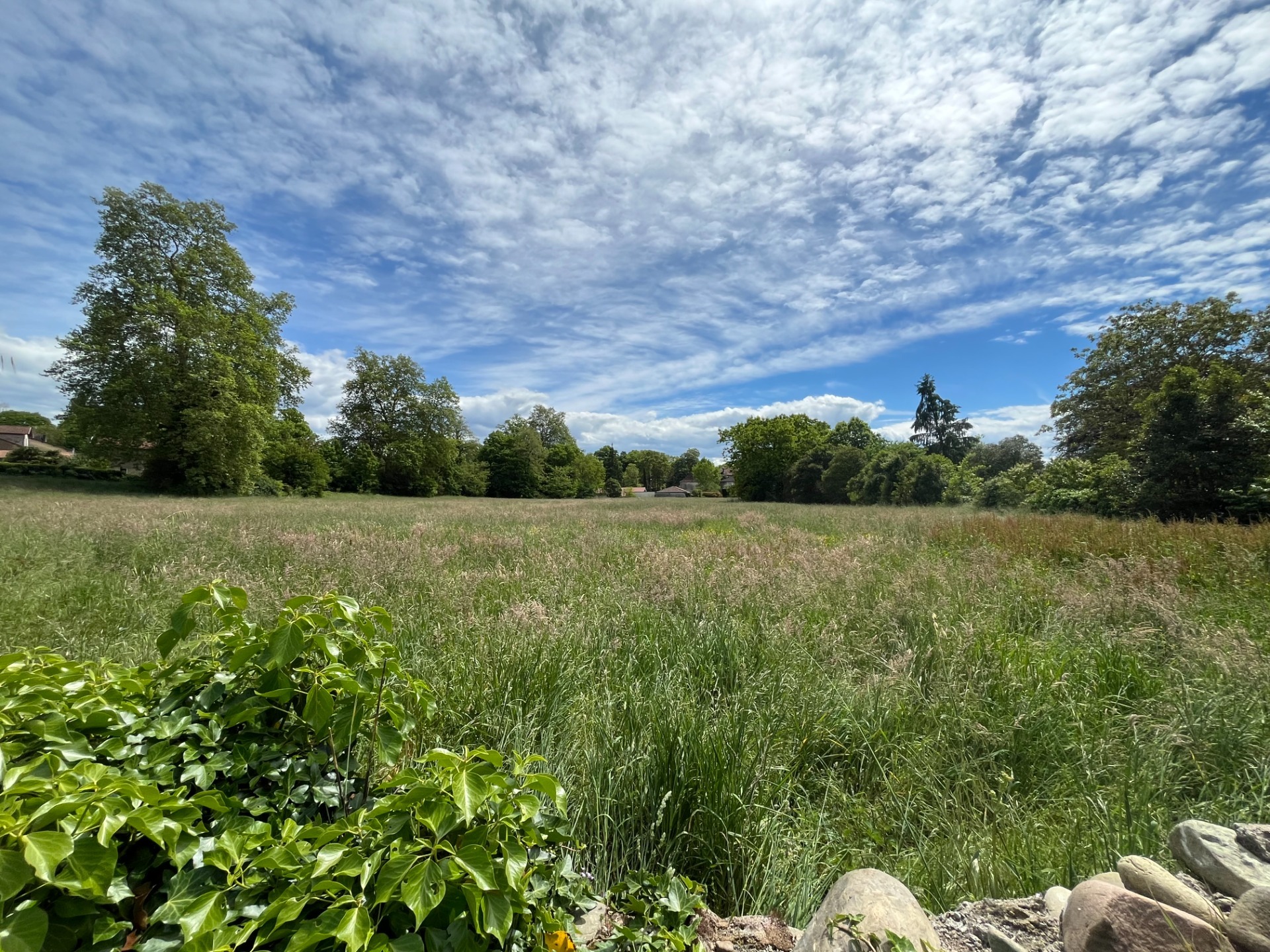 Terrain