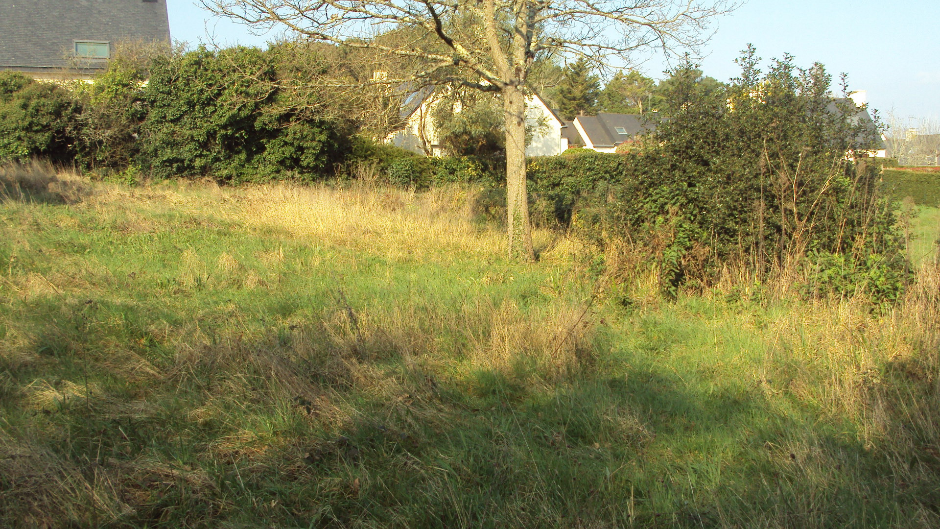 Terrain