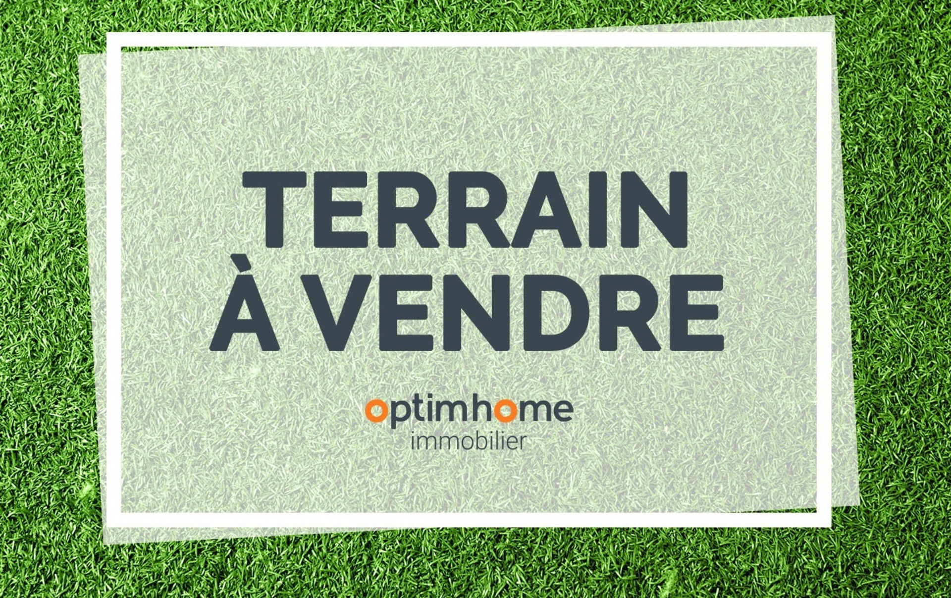 Terrain