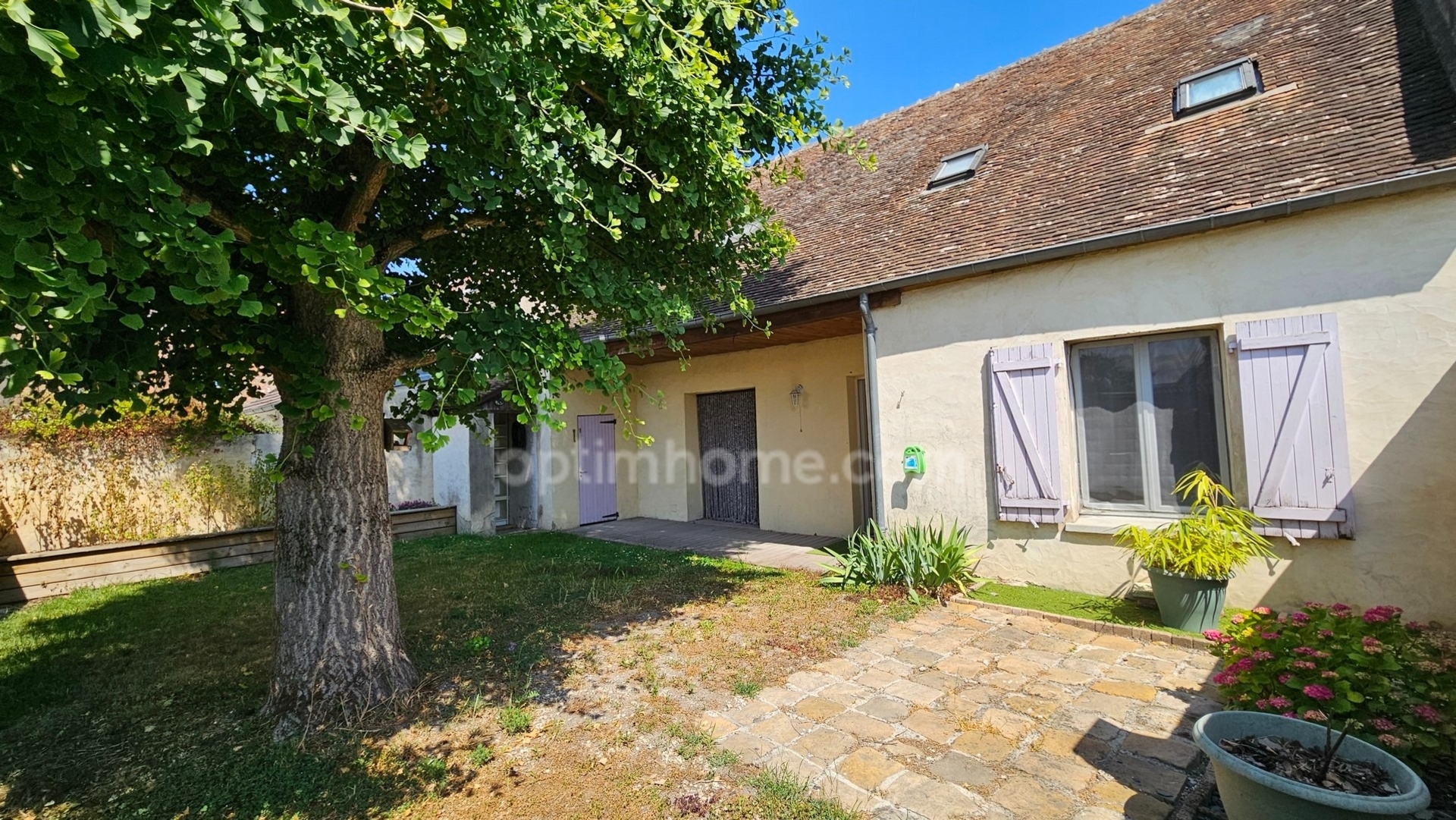 Maison