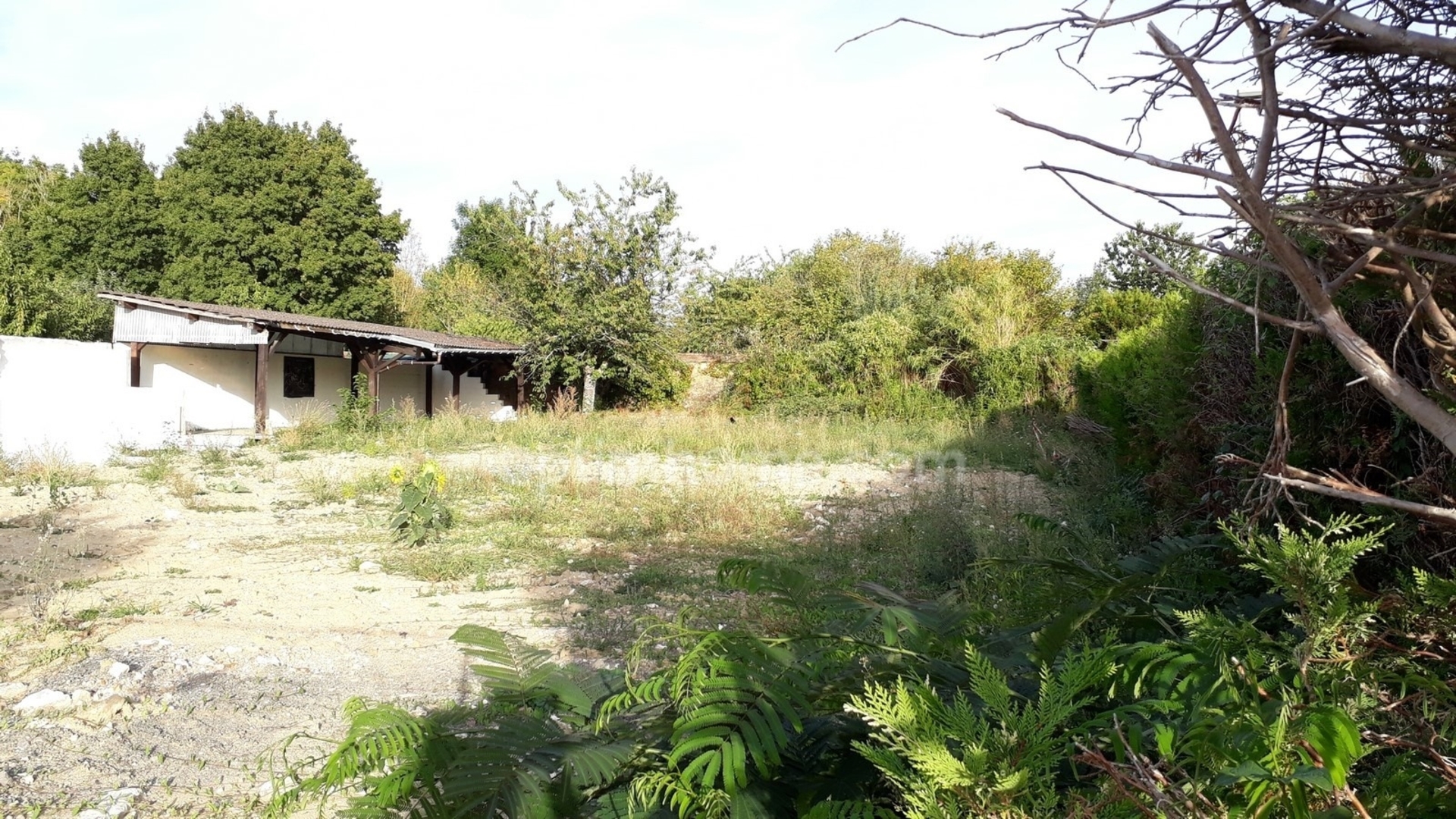 Terrain