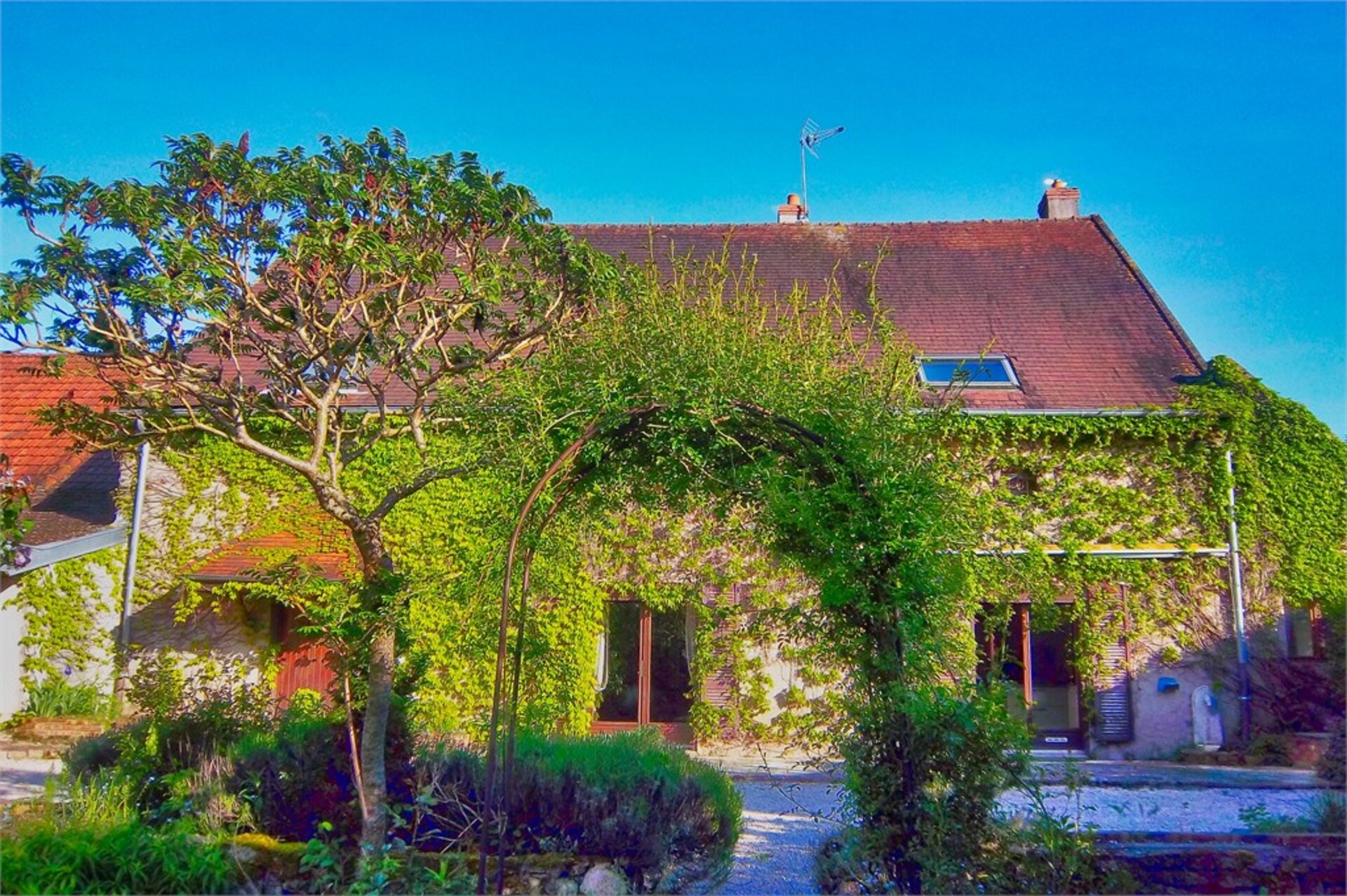 Maison
