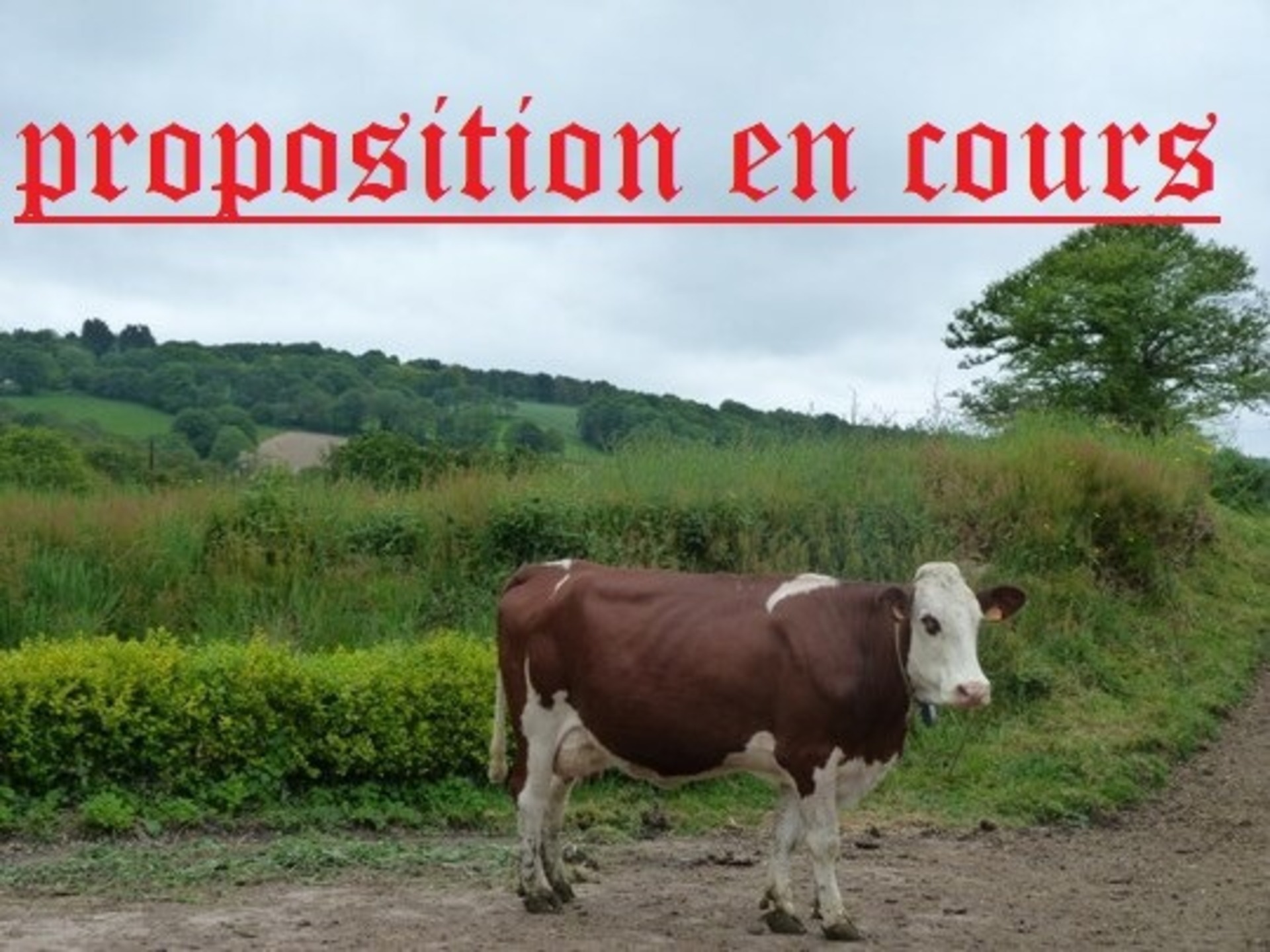 Propriété