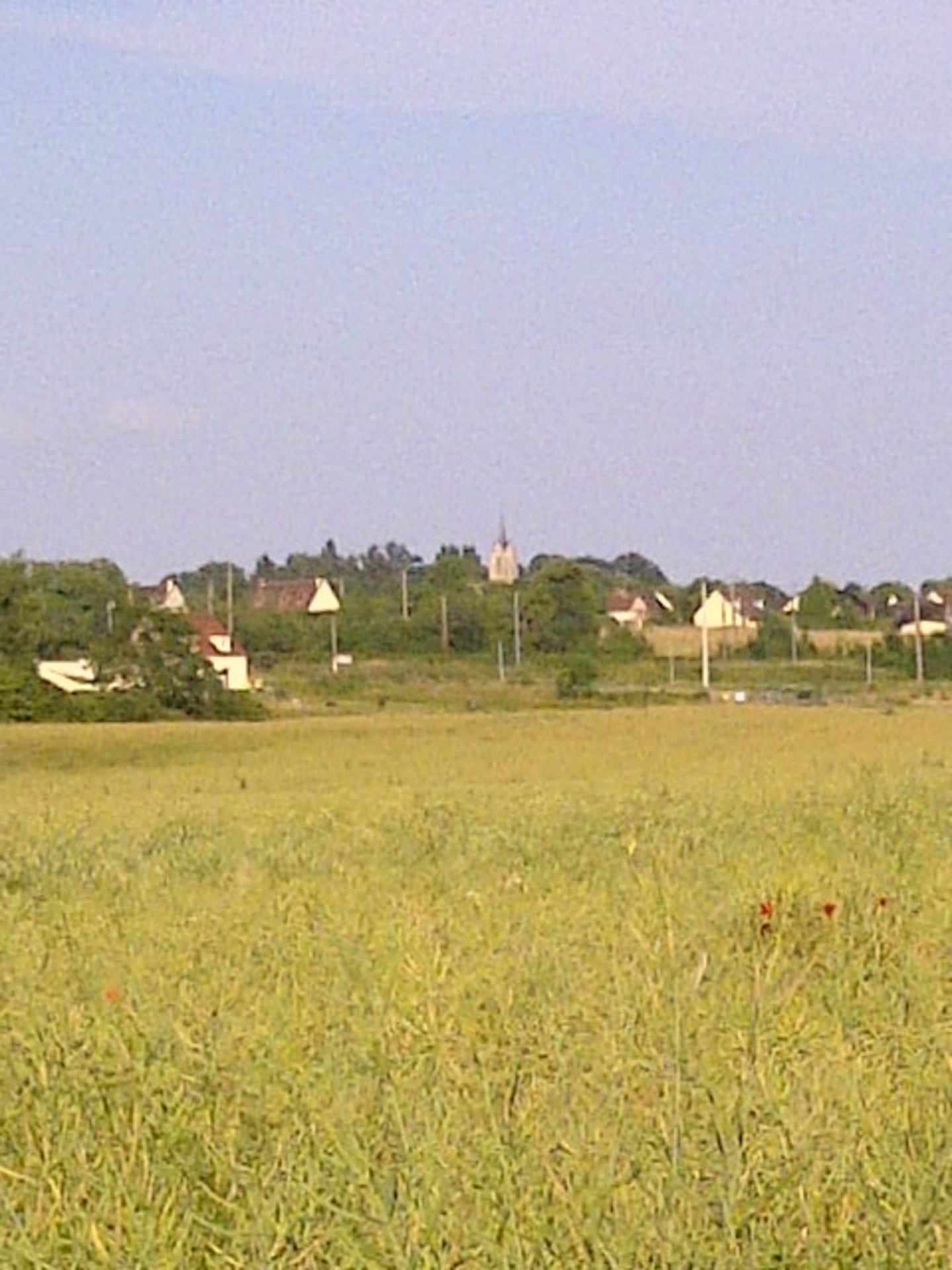Terrain