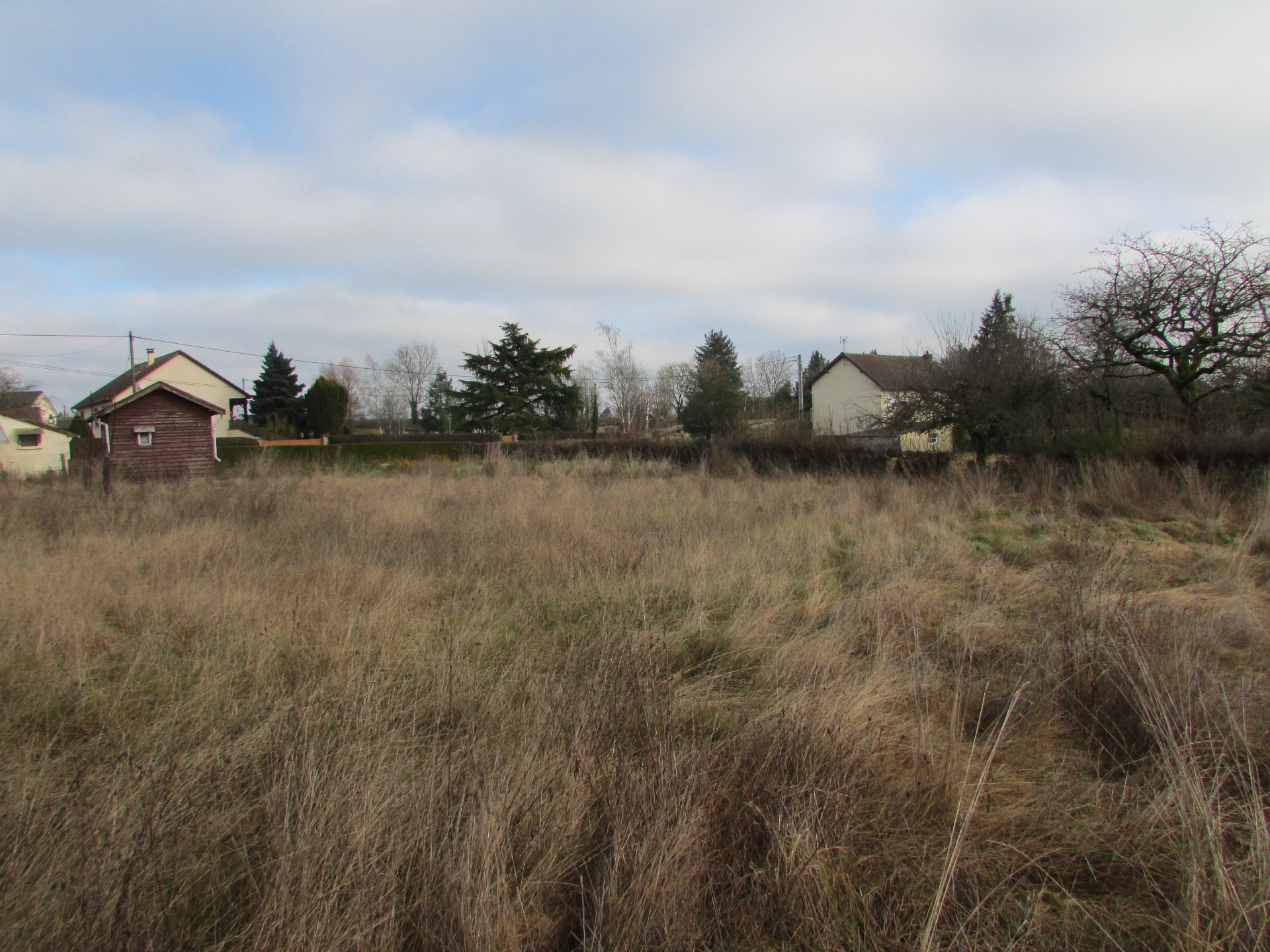 Terrain