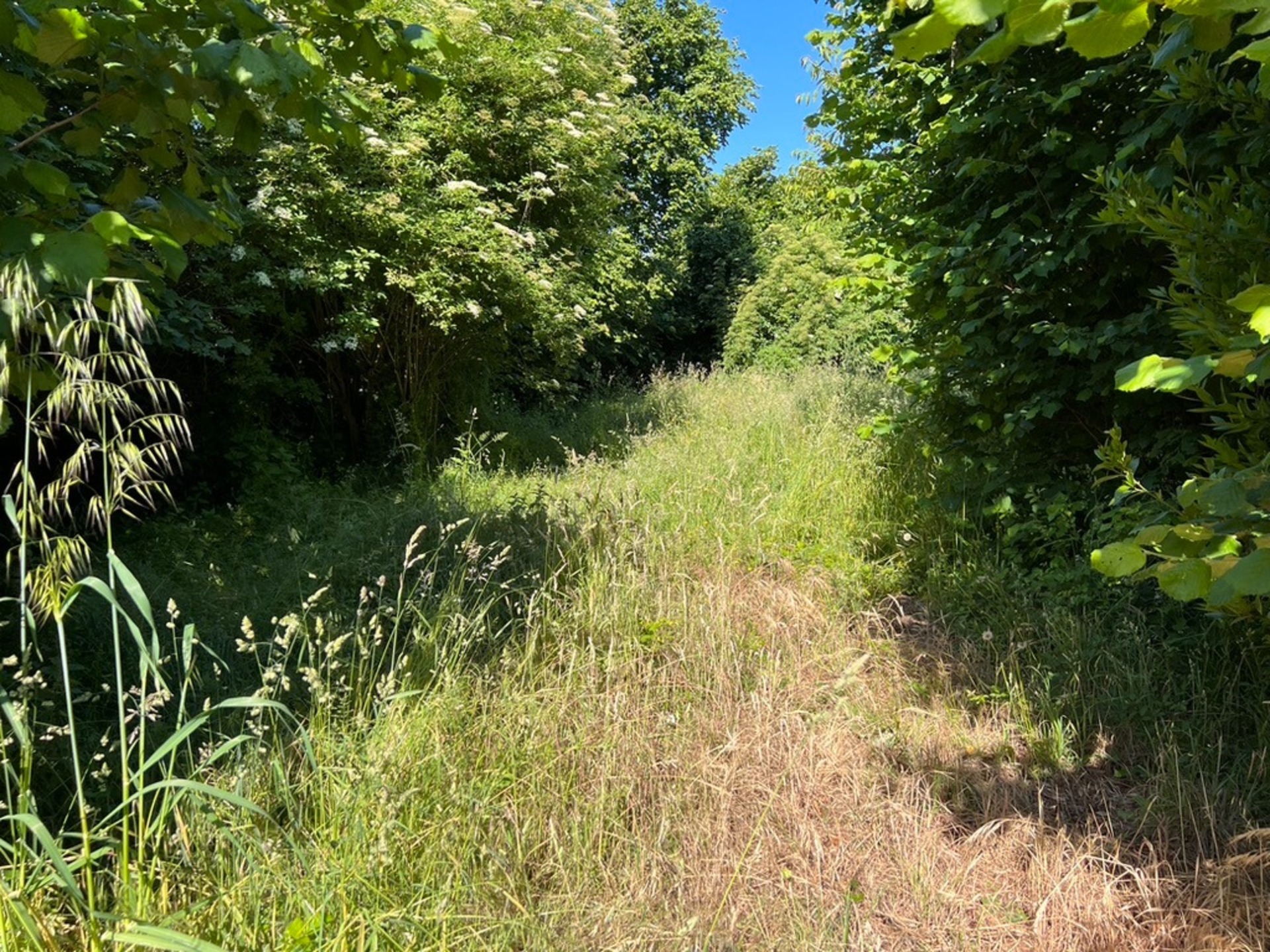 Terrain