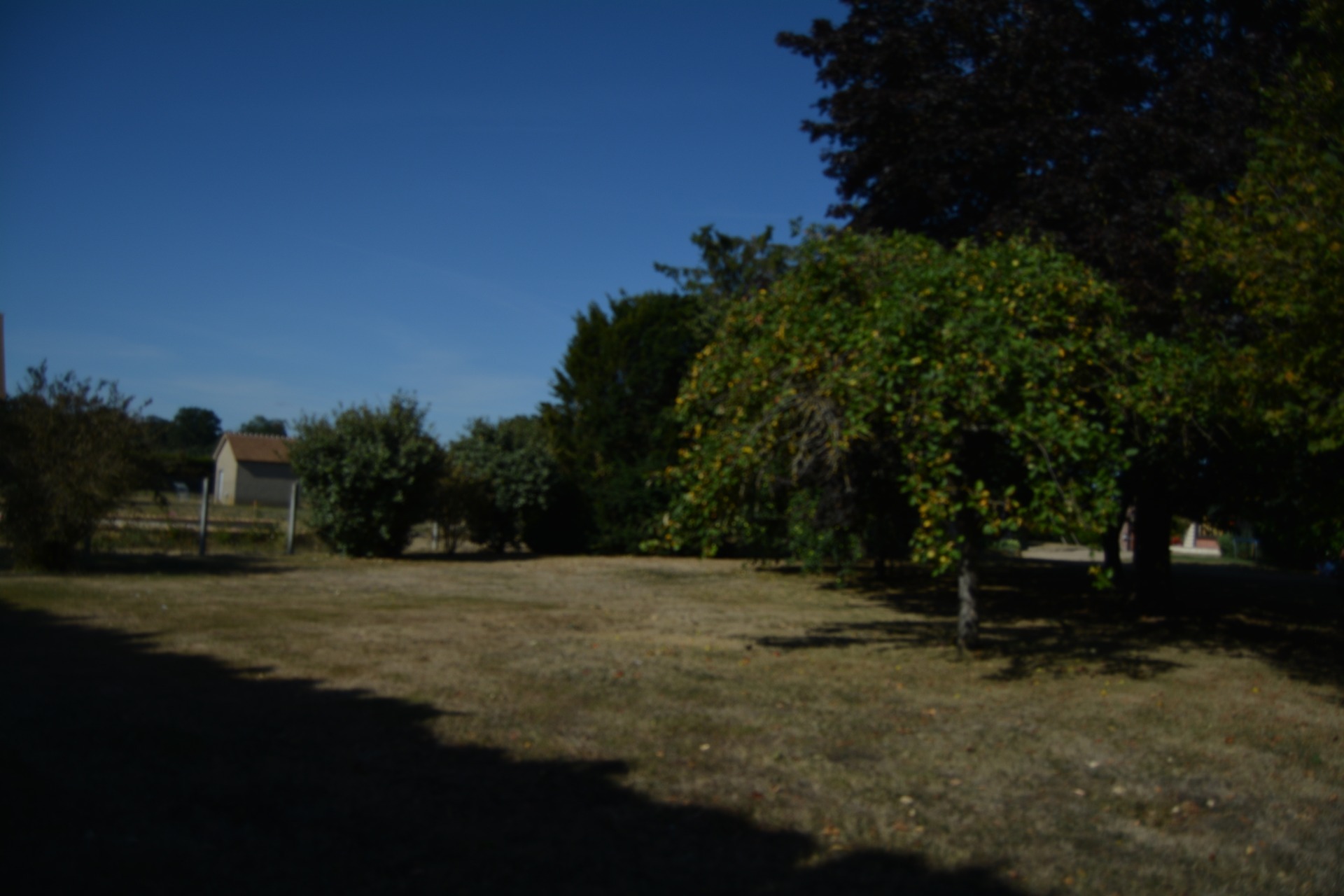 Terrain