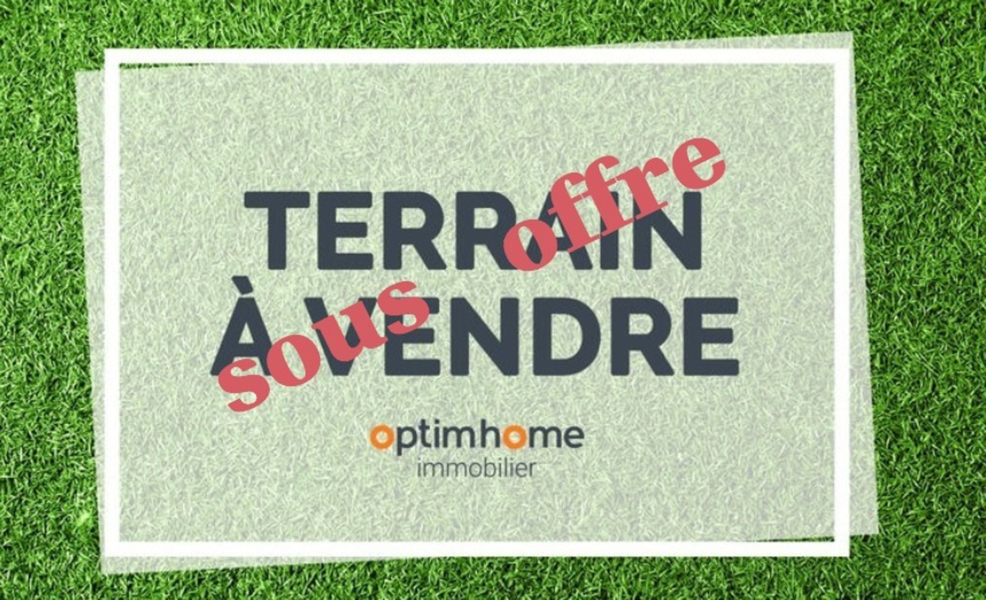 Terrain