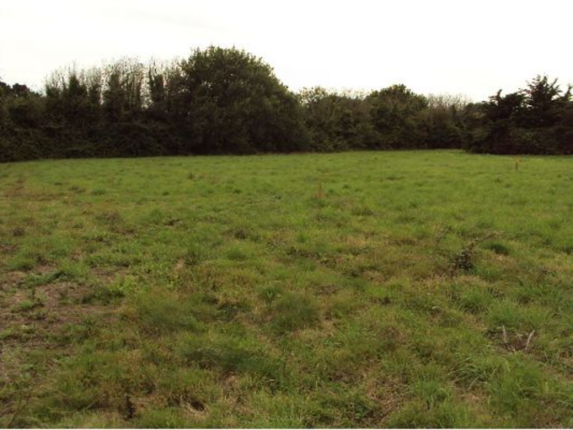 Terrain