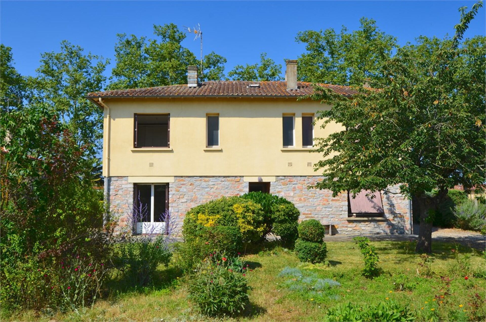 Maison
