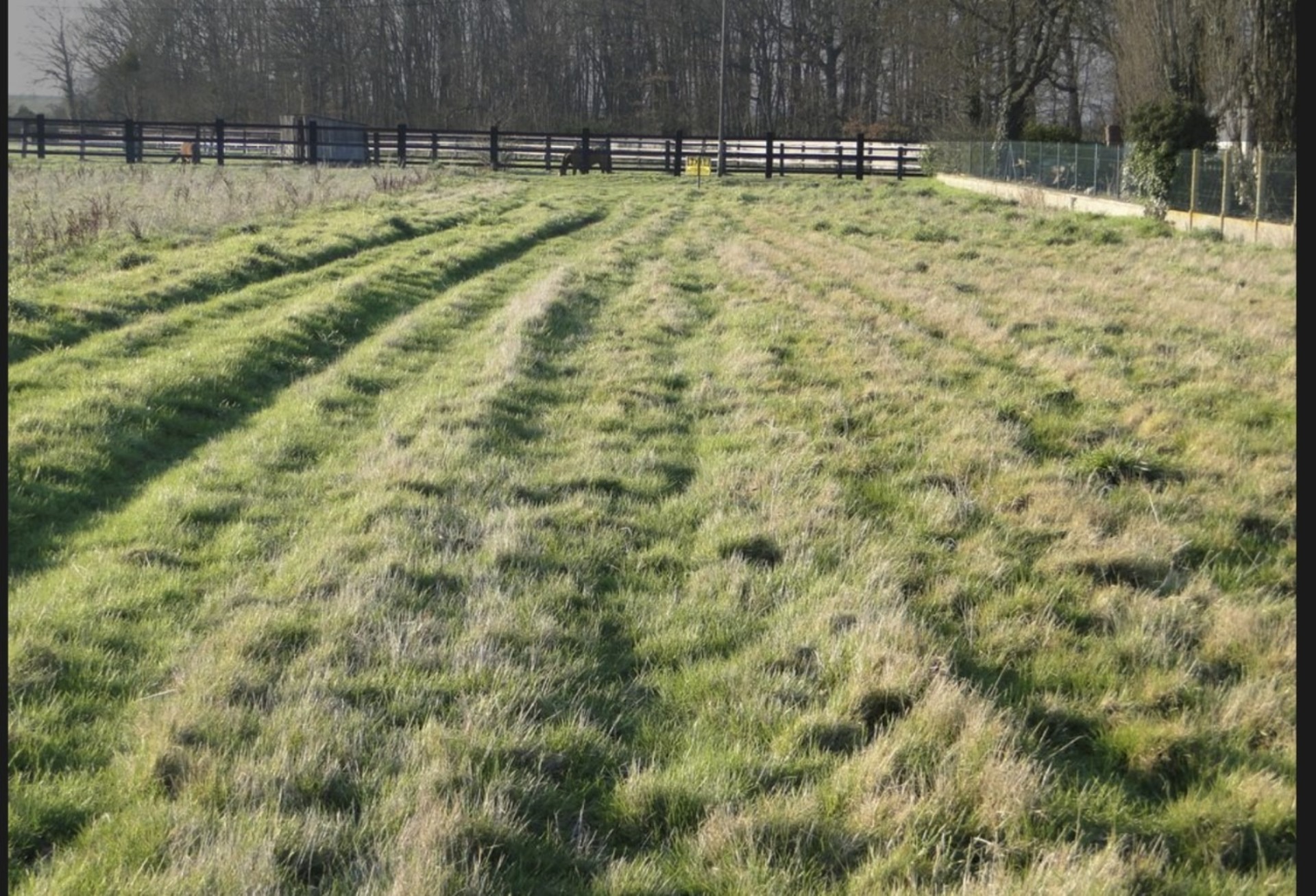 Terrain