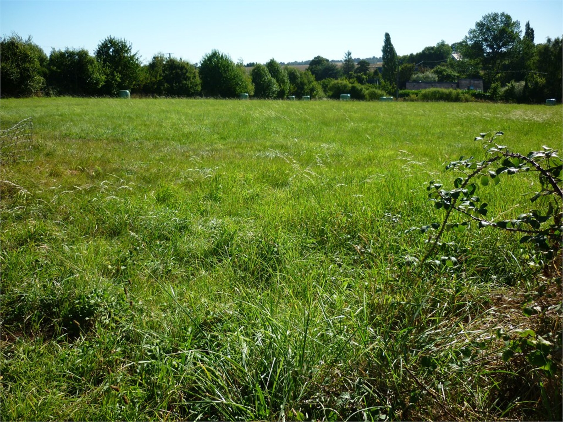 Terrain