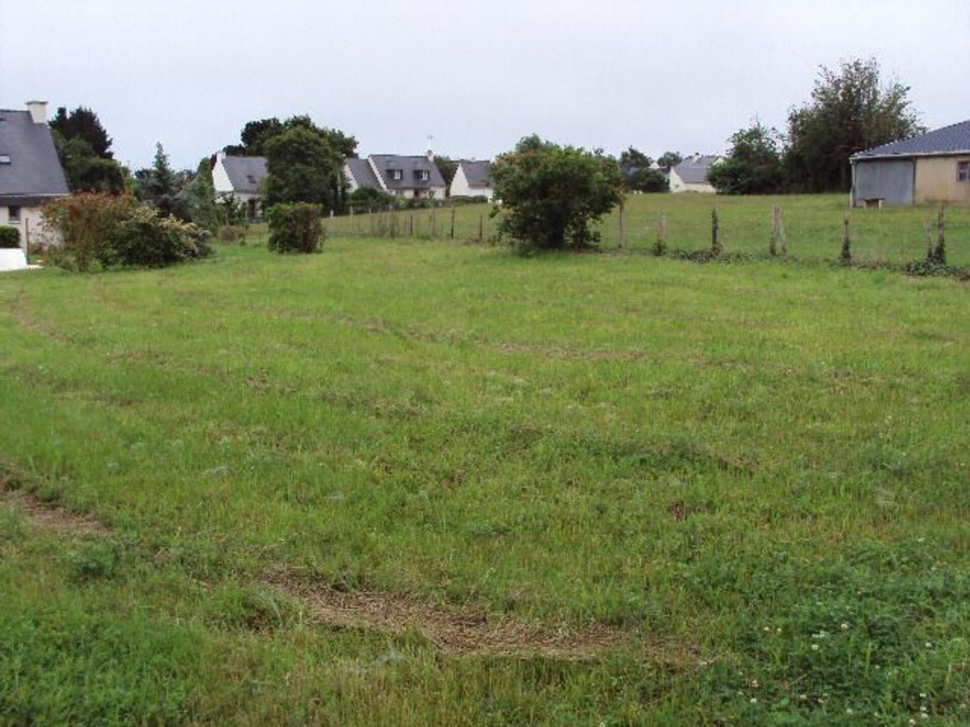 Terrain