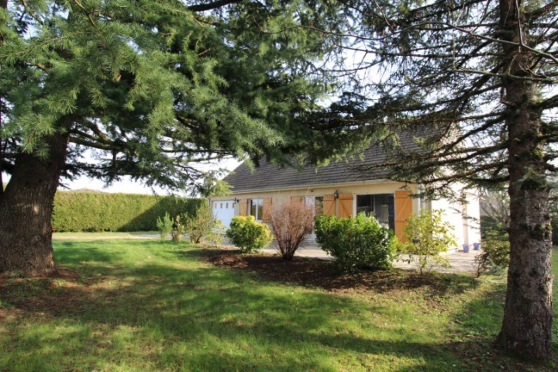 Maison