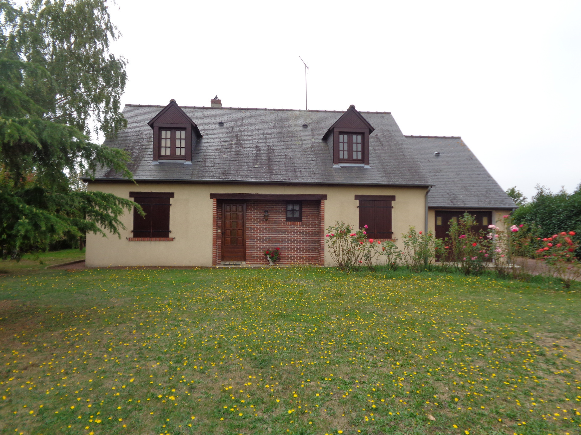 Maison