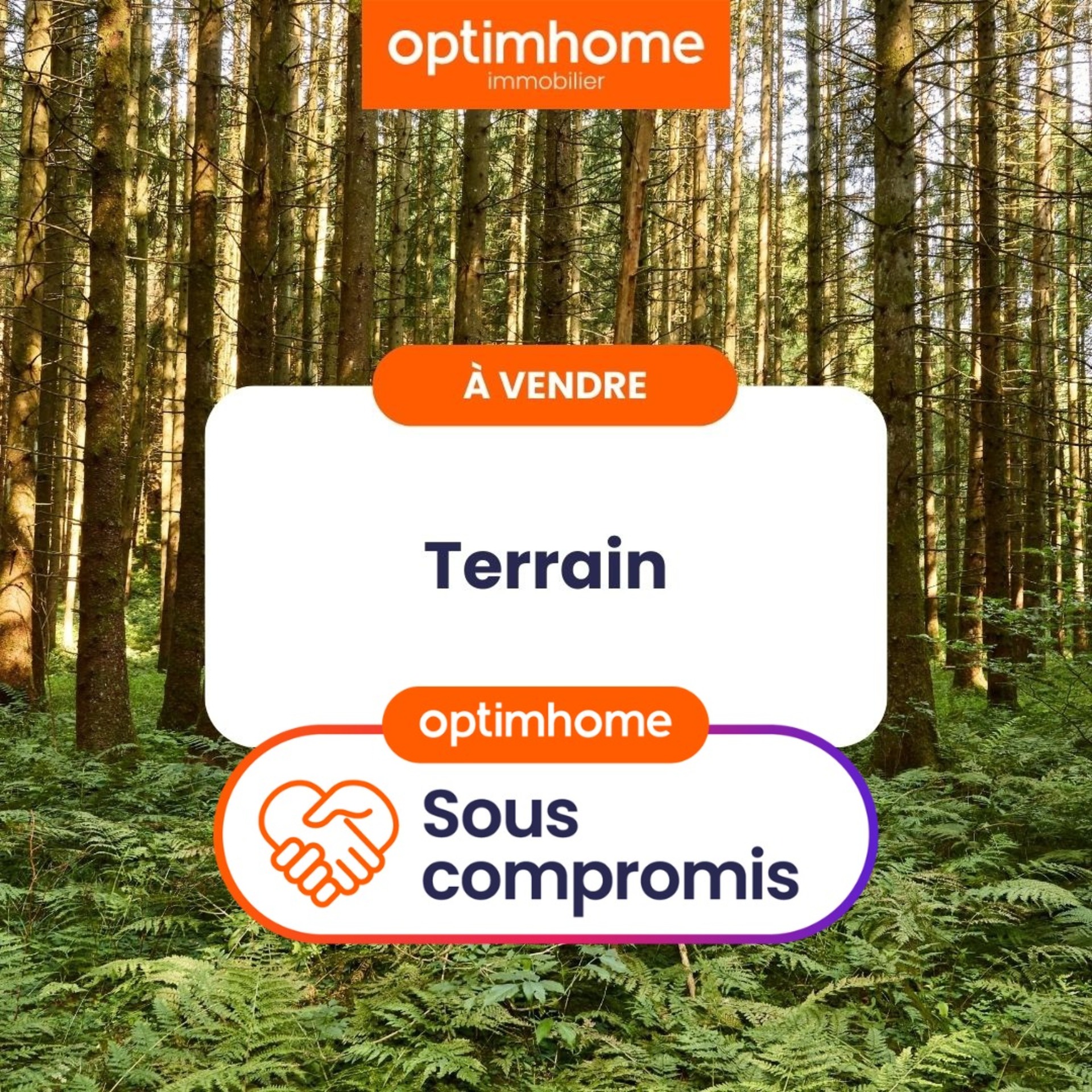 Terrain