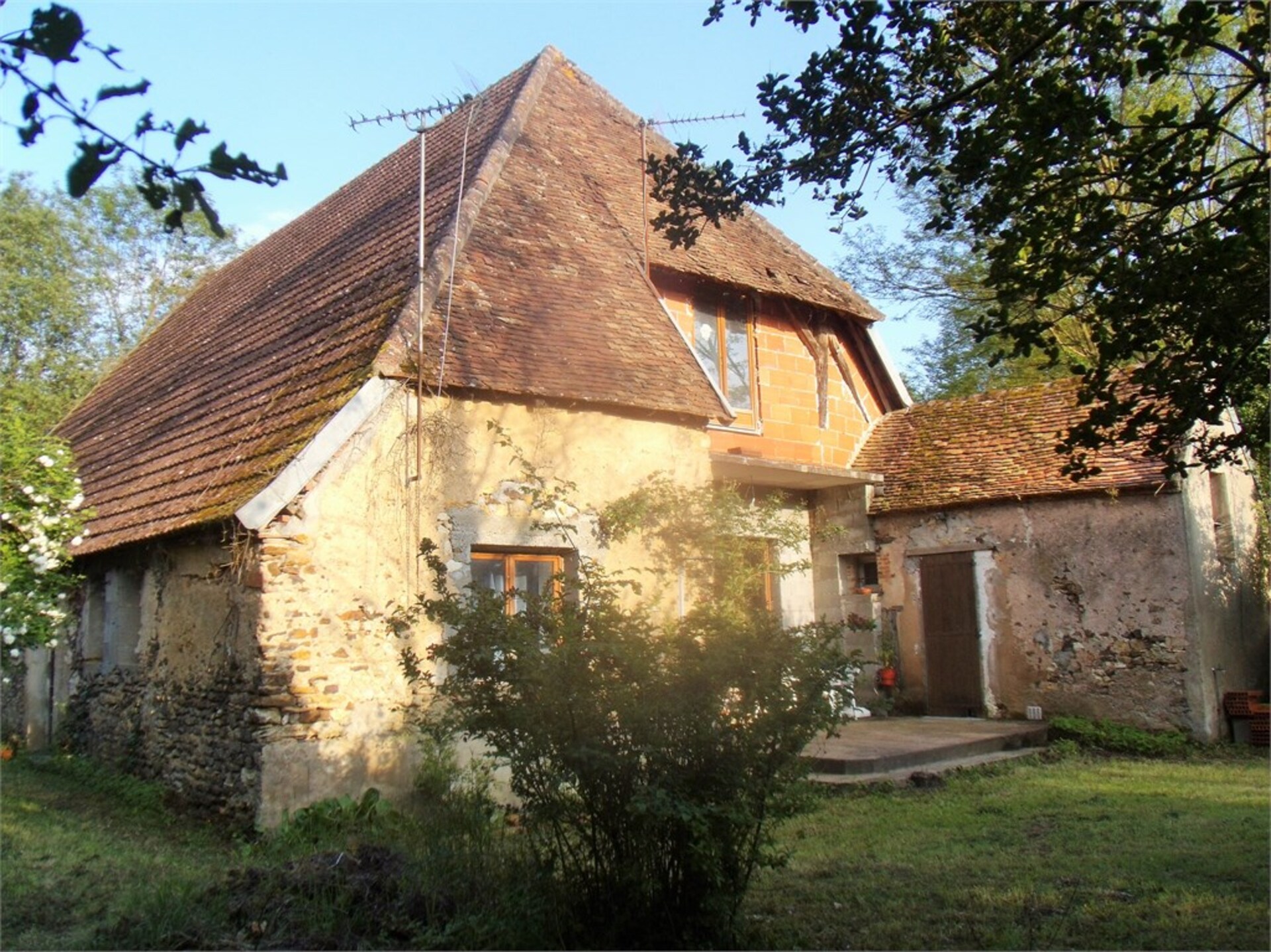 Maison