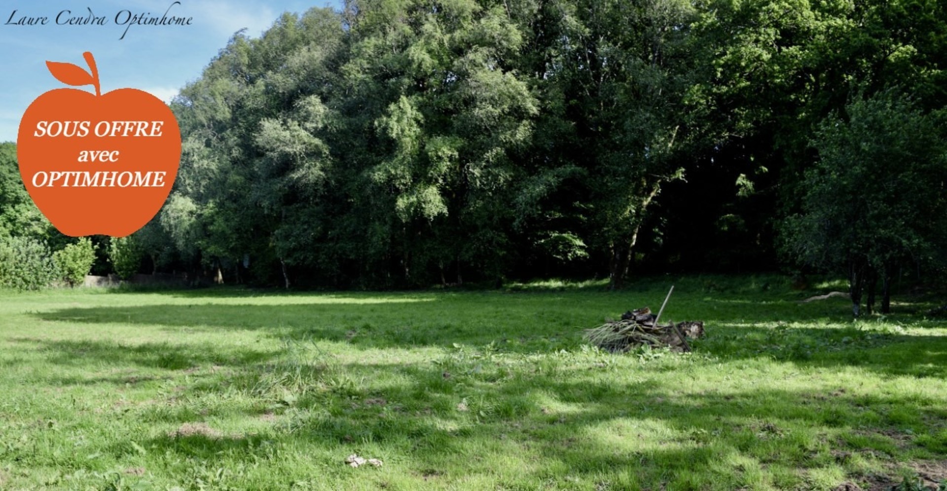Terrain