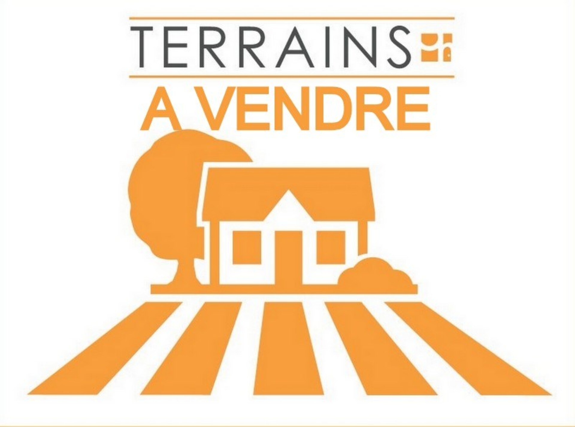 Terrain