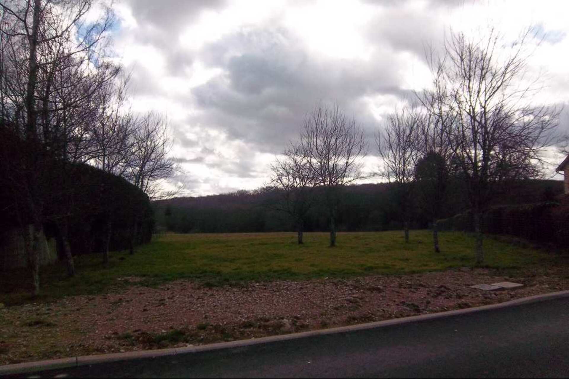 Terrain