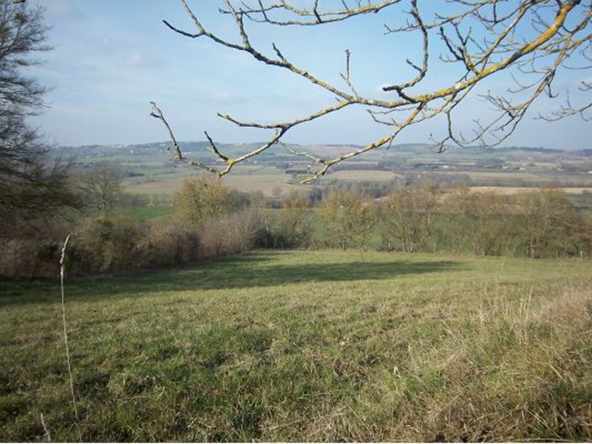 Terrain