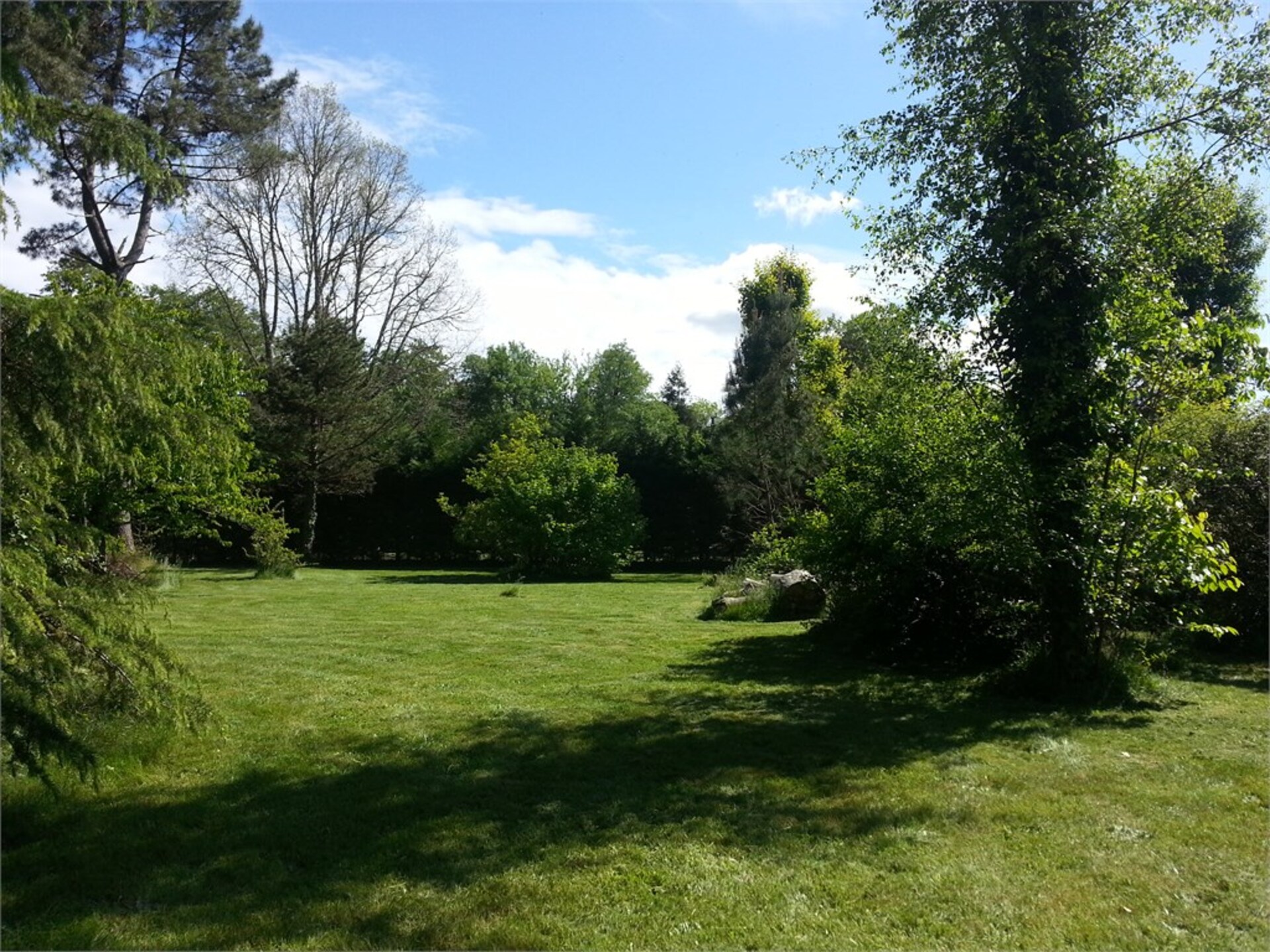 Terrain